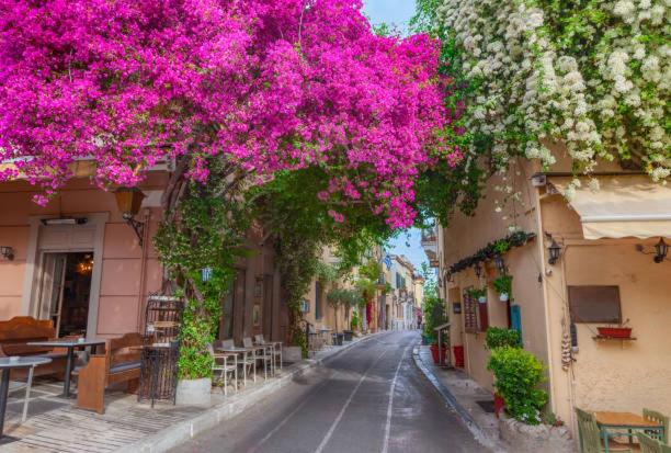 The Acropolis House of Flowers~Private Roof Garden
