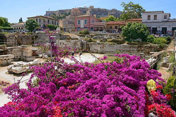 The Acropolis House of Flowers~Private Roof Garden