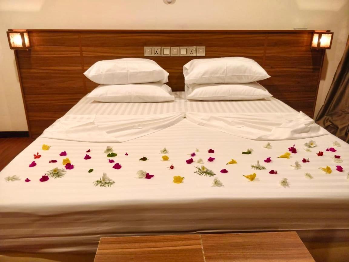 Akiri Grand view 2