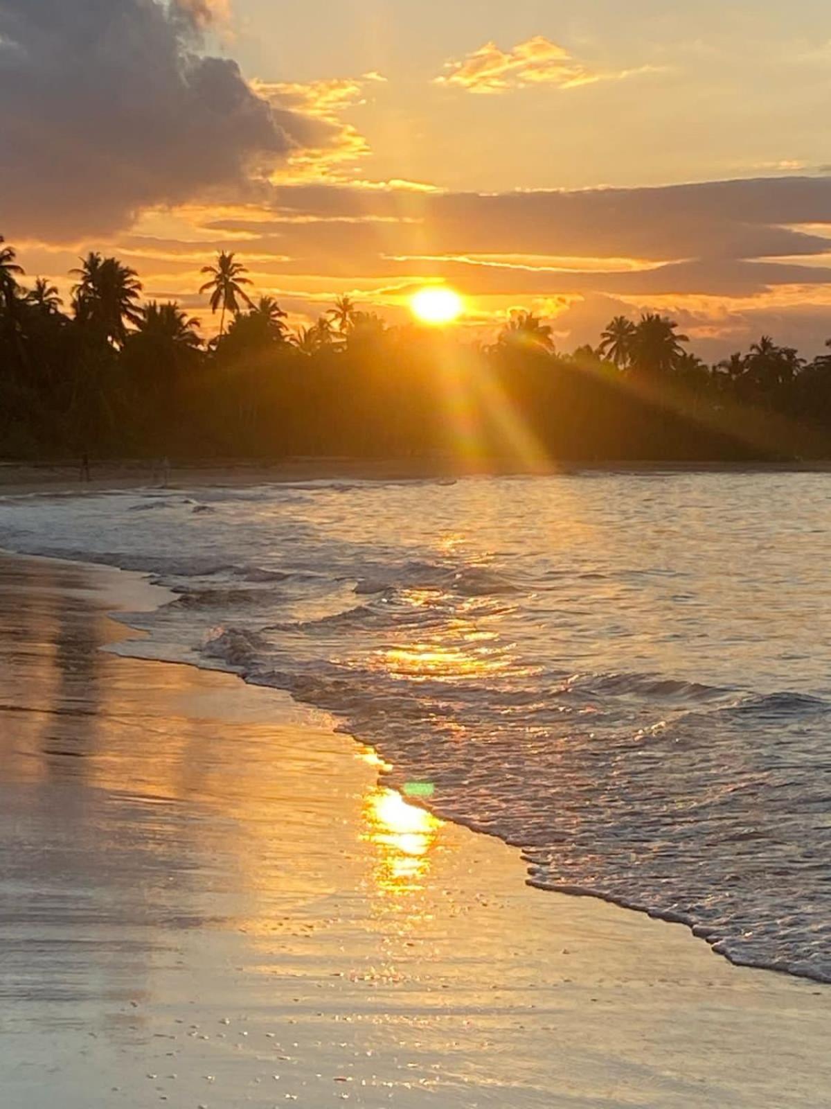 Caribbean Domicile