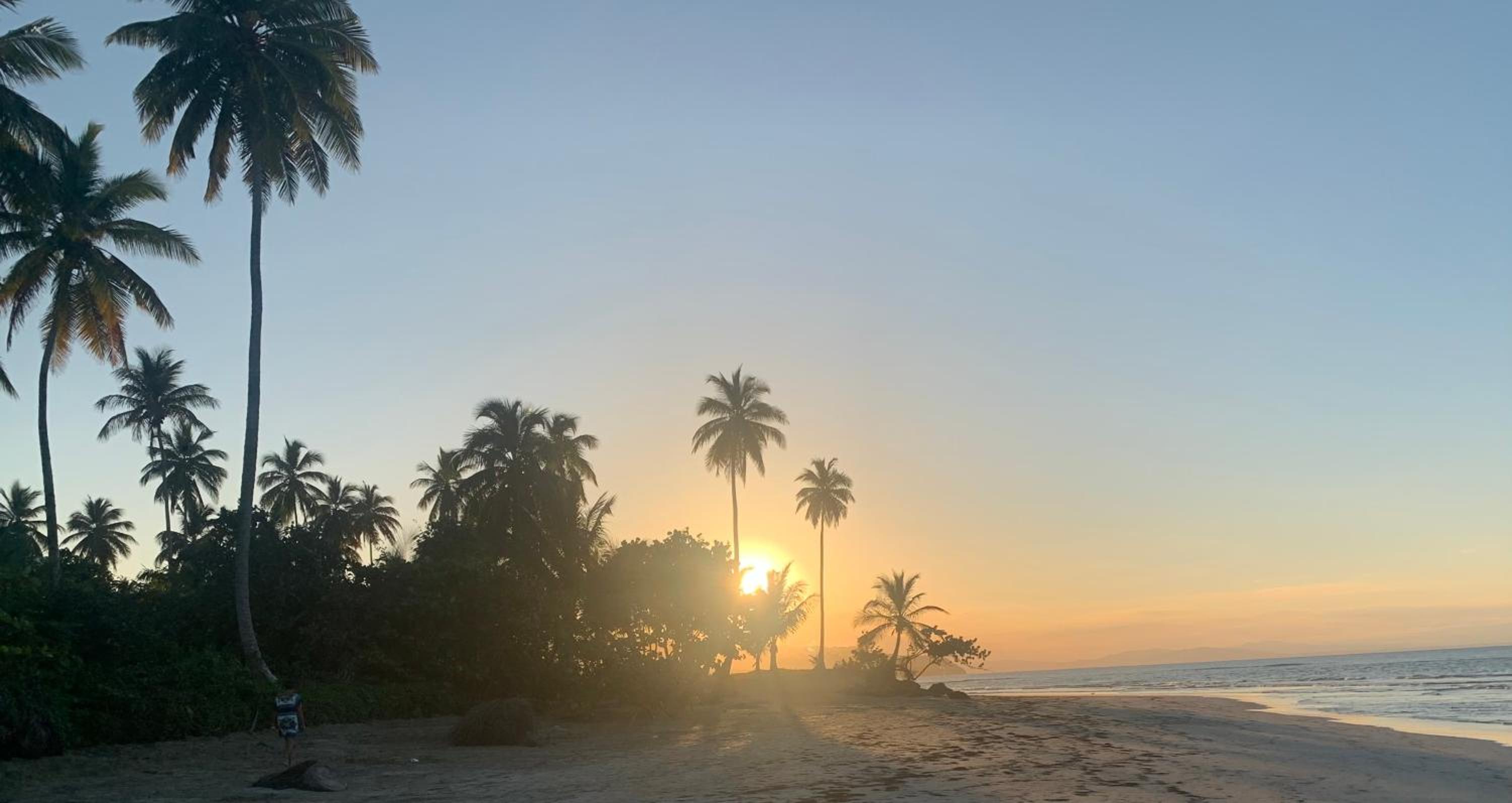 Caribbean Domicile
