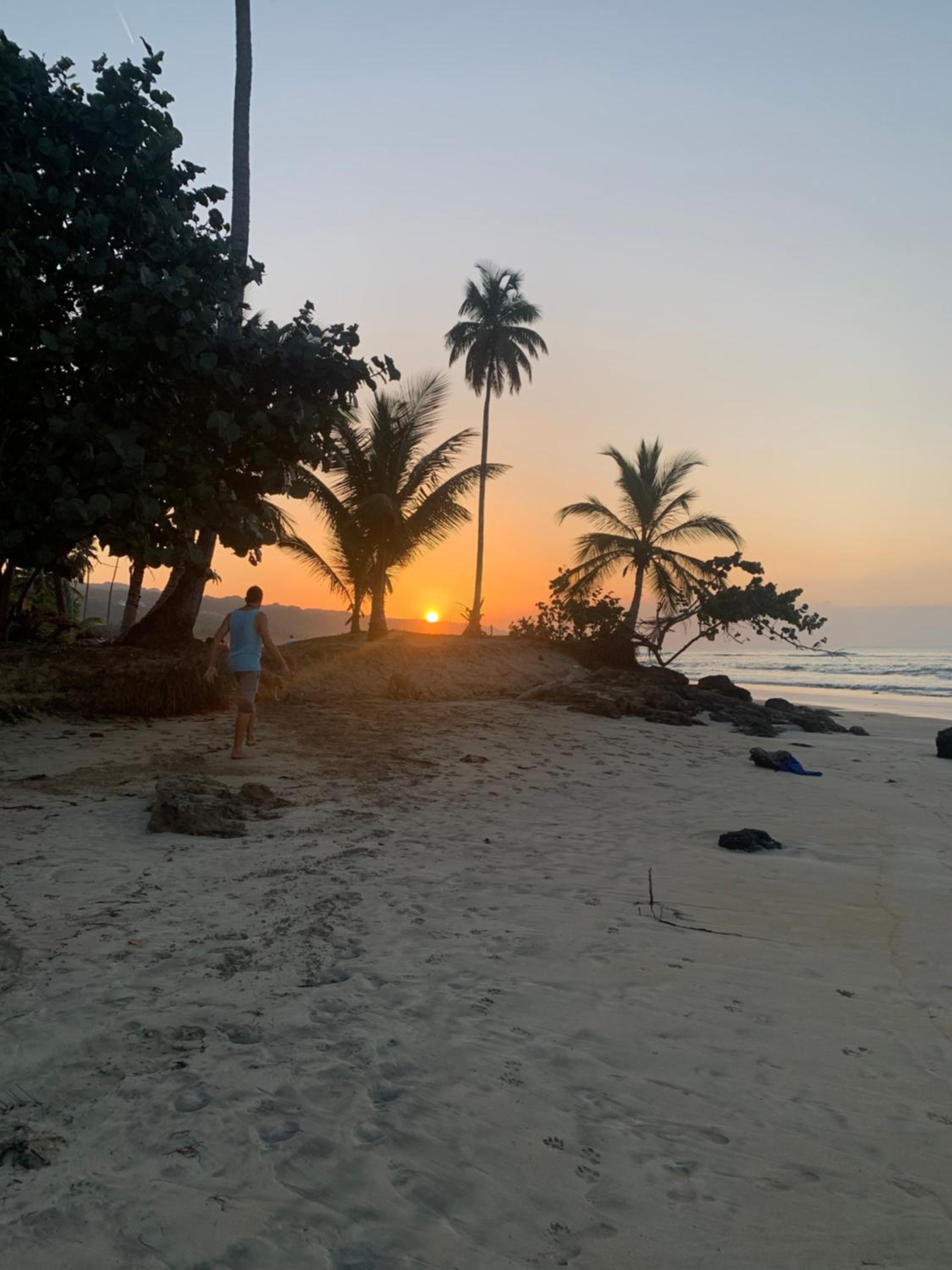 Caribbean Domicile