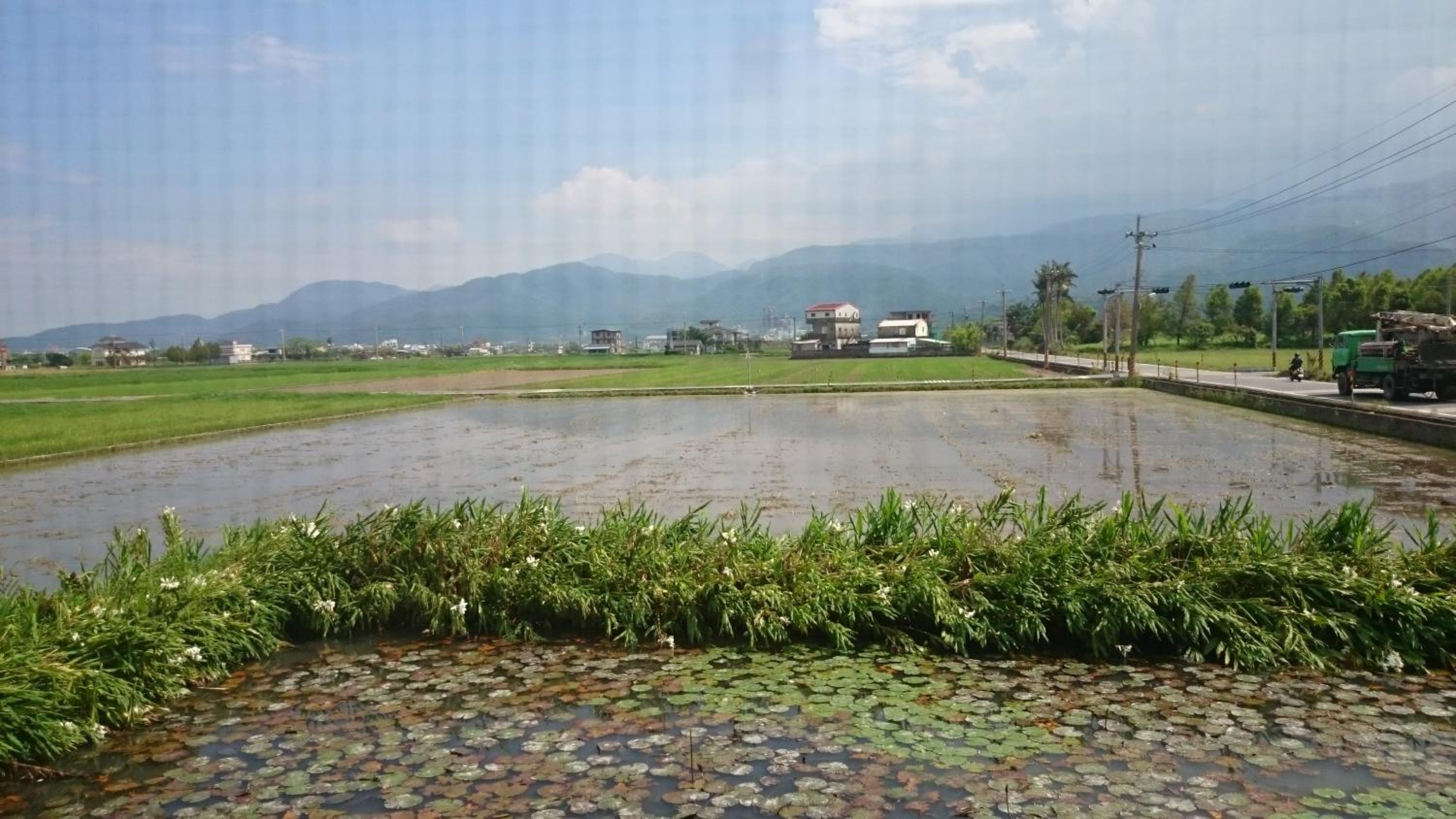 Yilan Real Fun Homestay