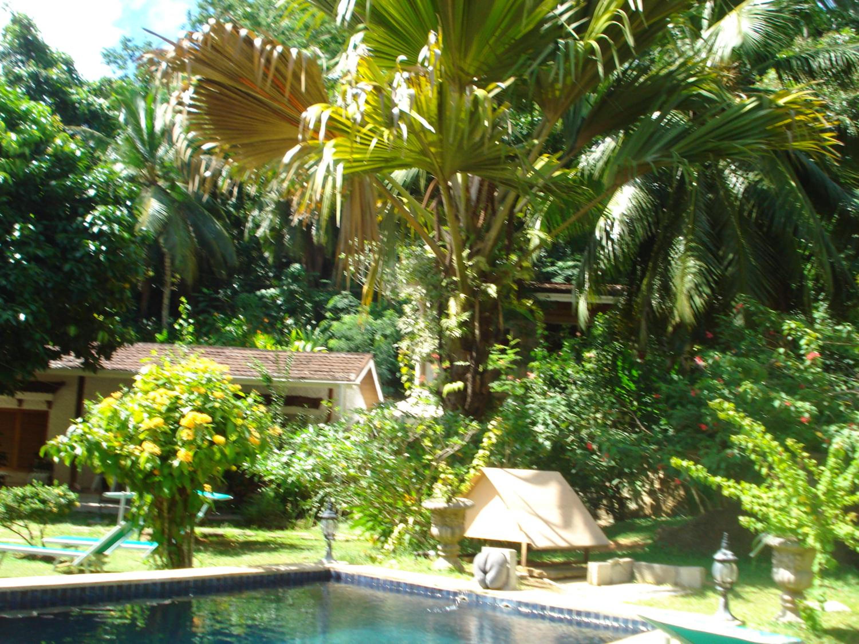 Coté Sud - Unique Villa & Bungalows Intendance Road photo 2