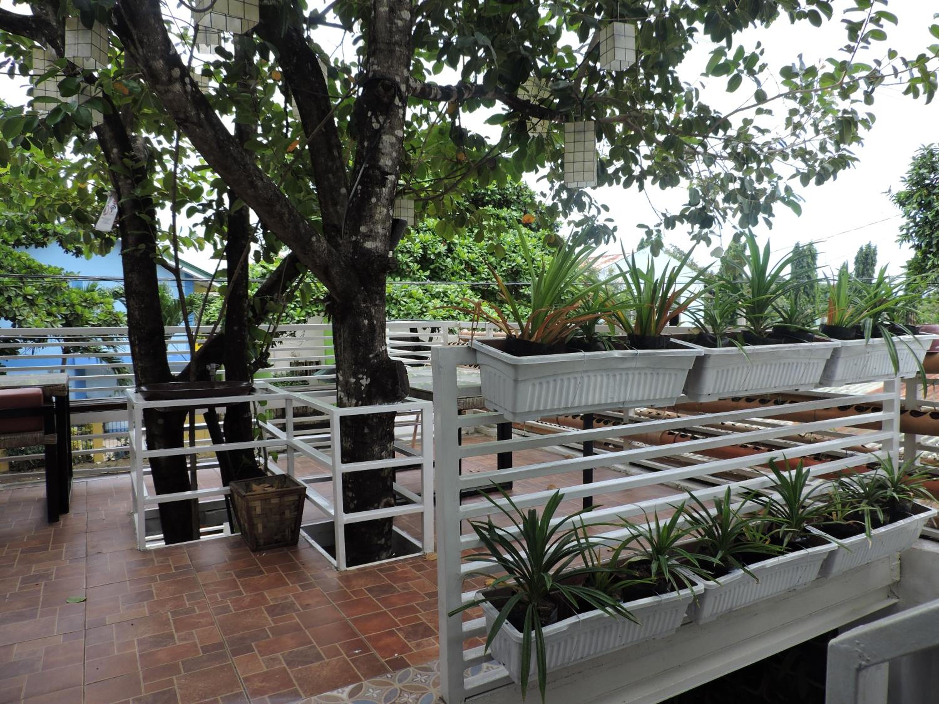Orange Mangrove Pension House by SMS Hospitality