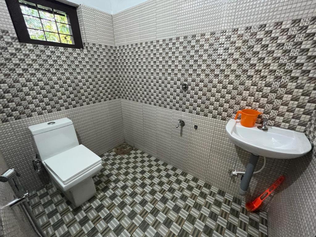 Photo 7
