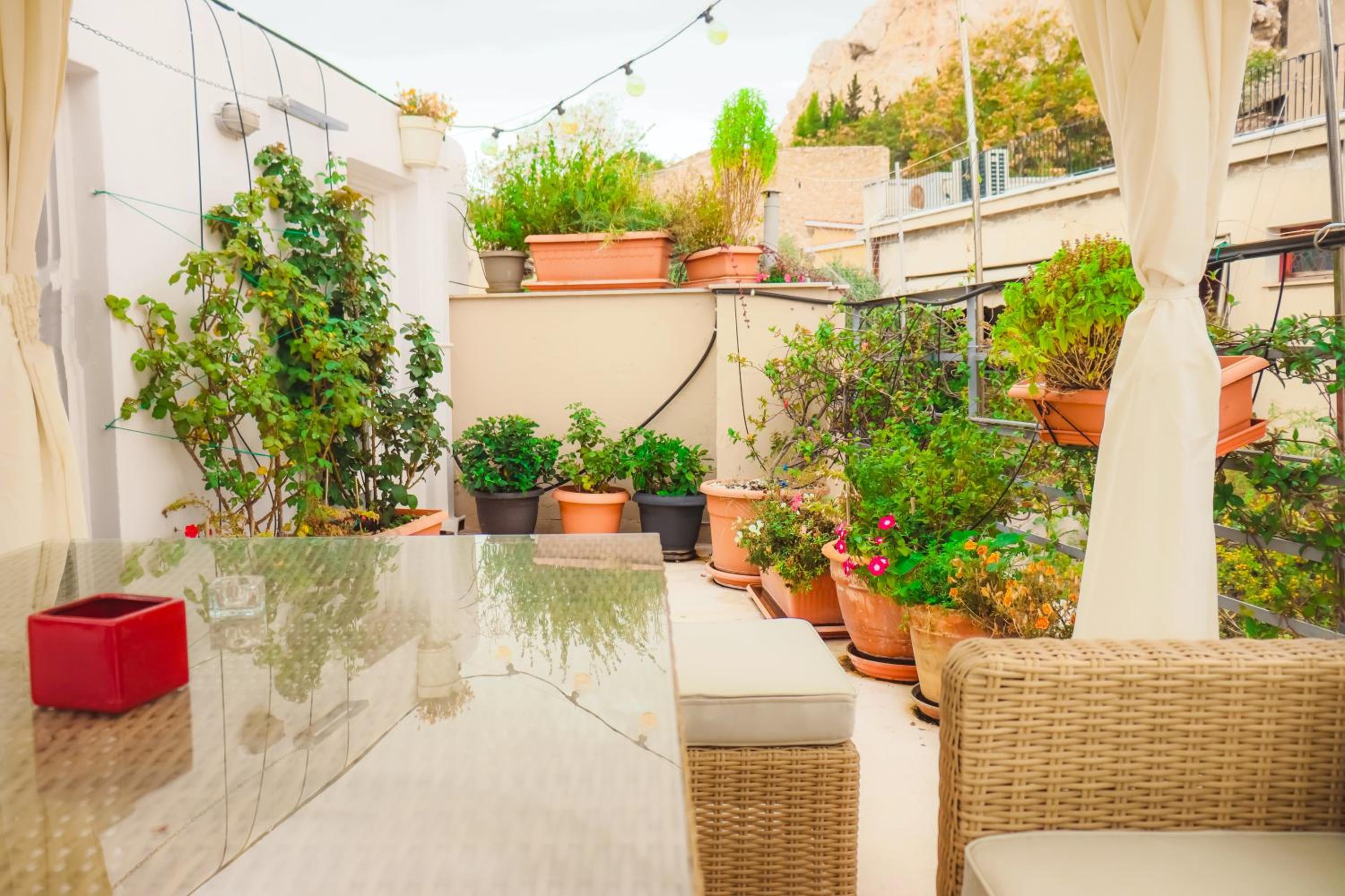 The Acropolis House of Flowers~Private Roof Garden