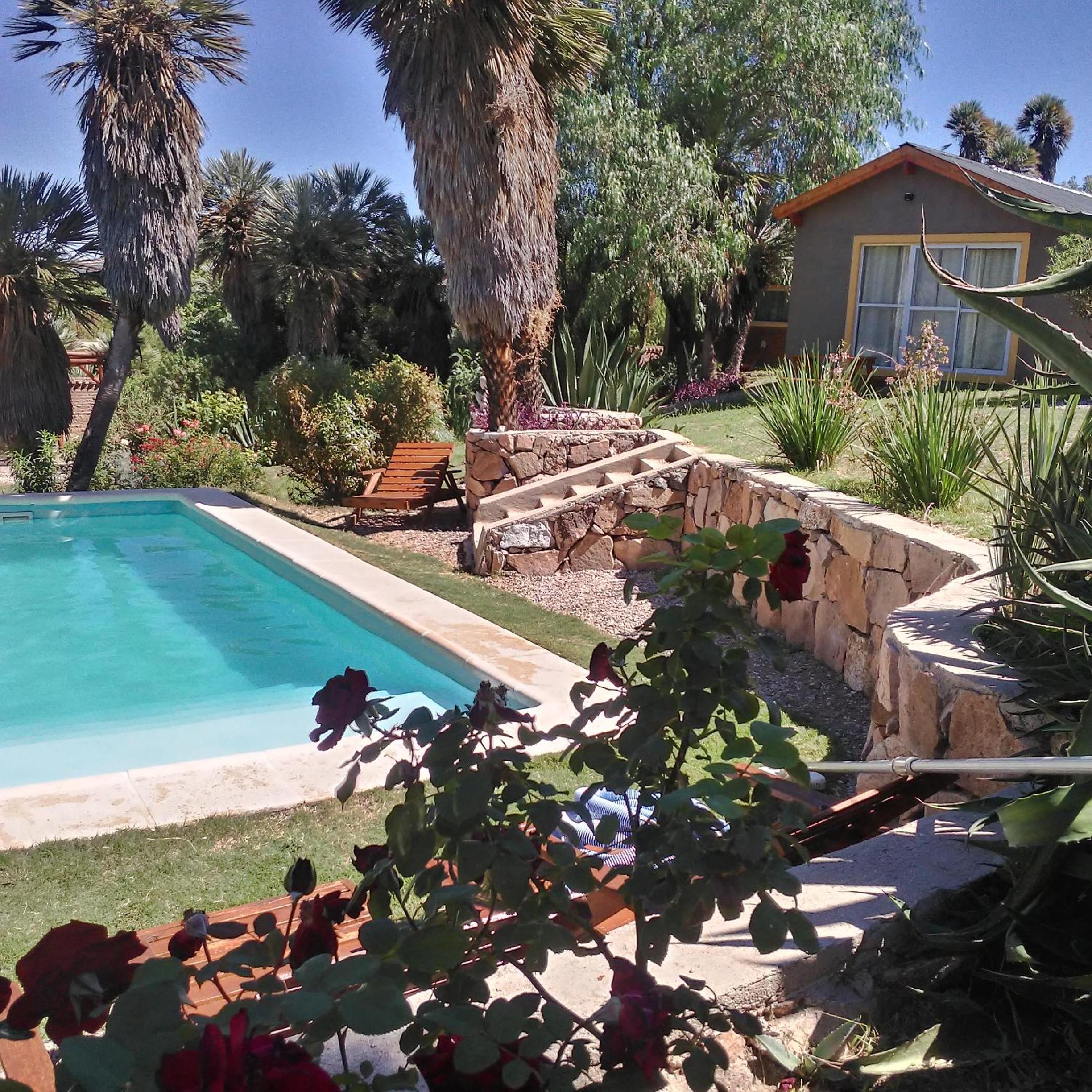Palmares al cerro