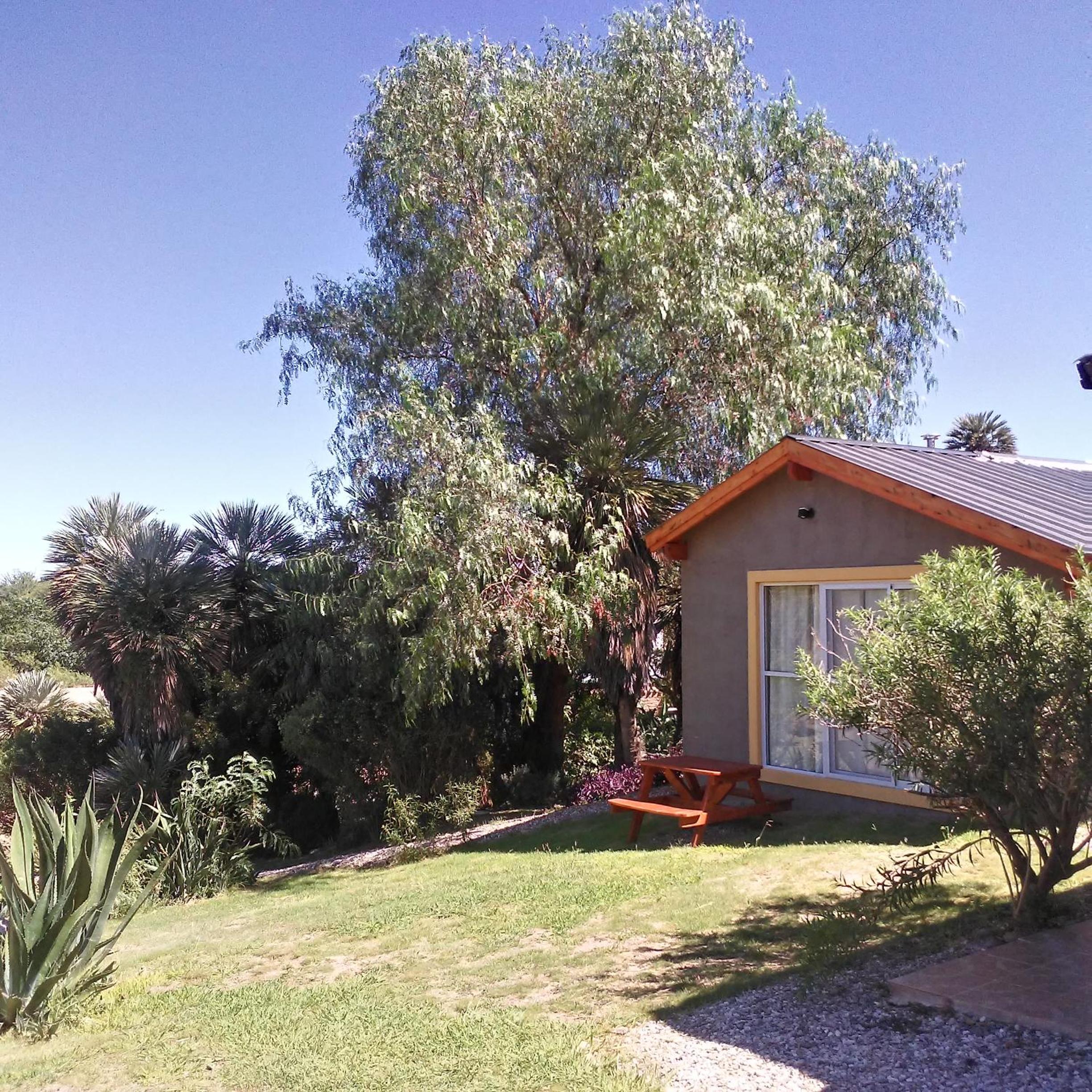 Palmares al cerro