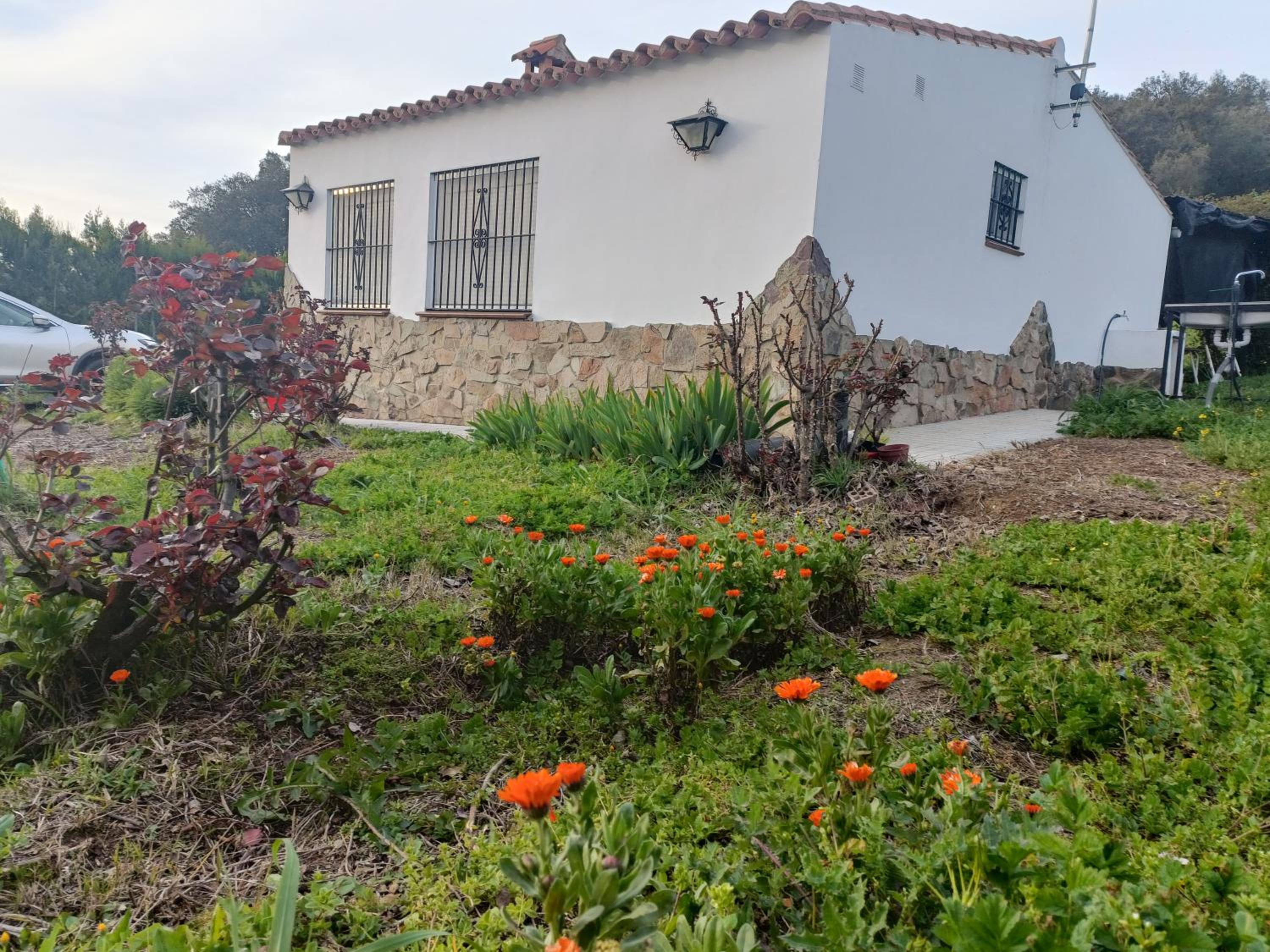 Finca del Abu