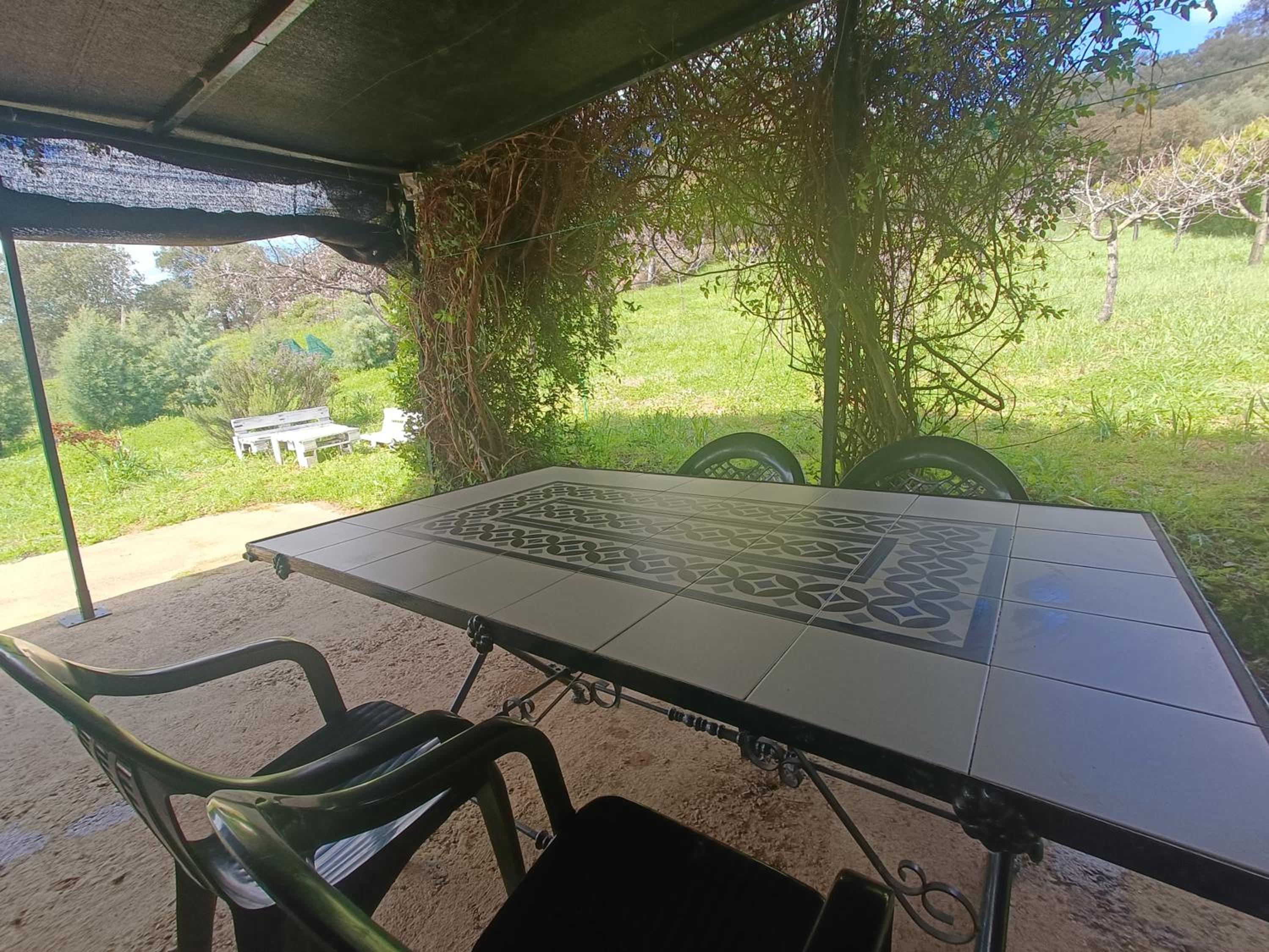 Finca del Abu