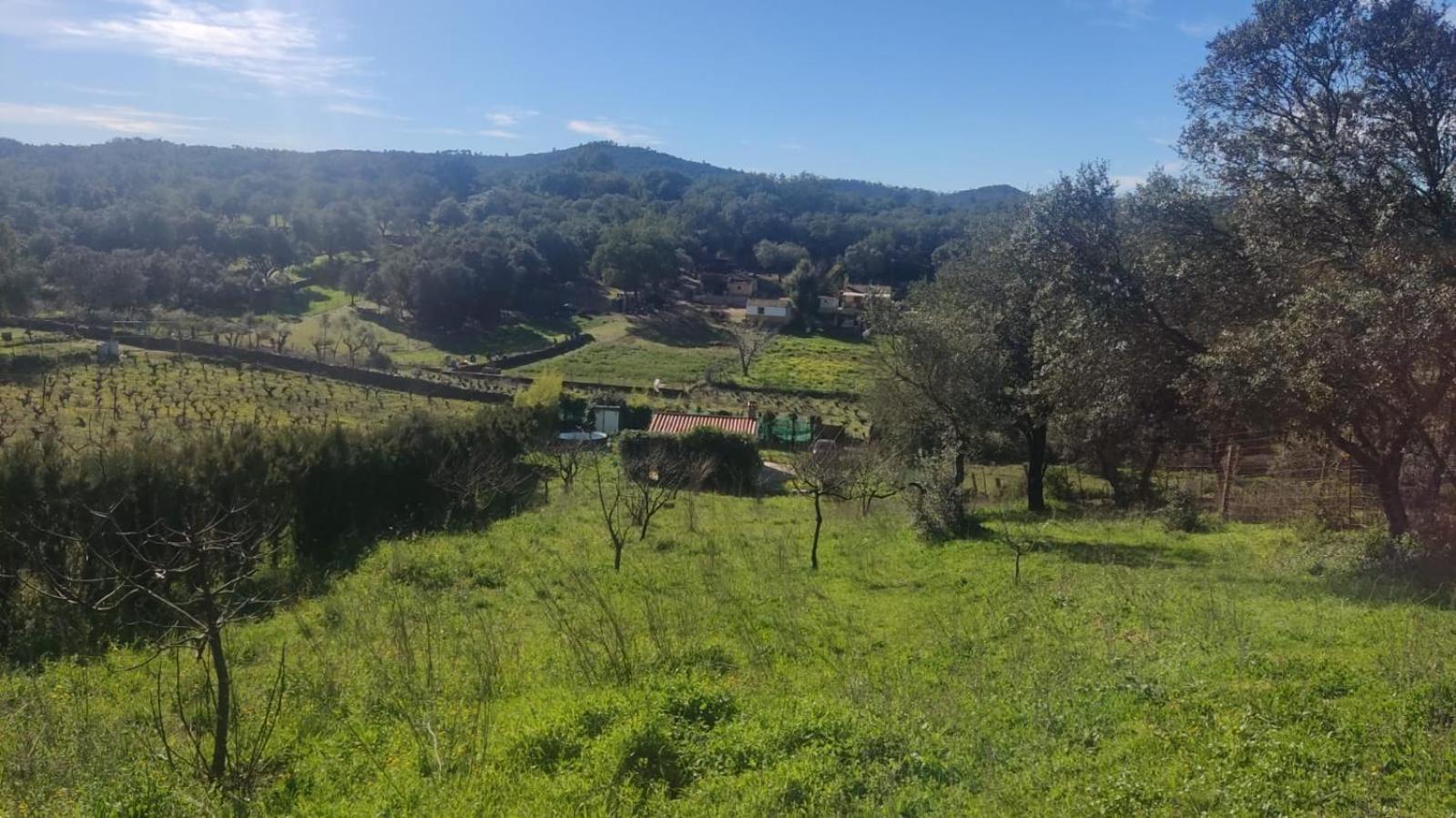Finca del Abu