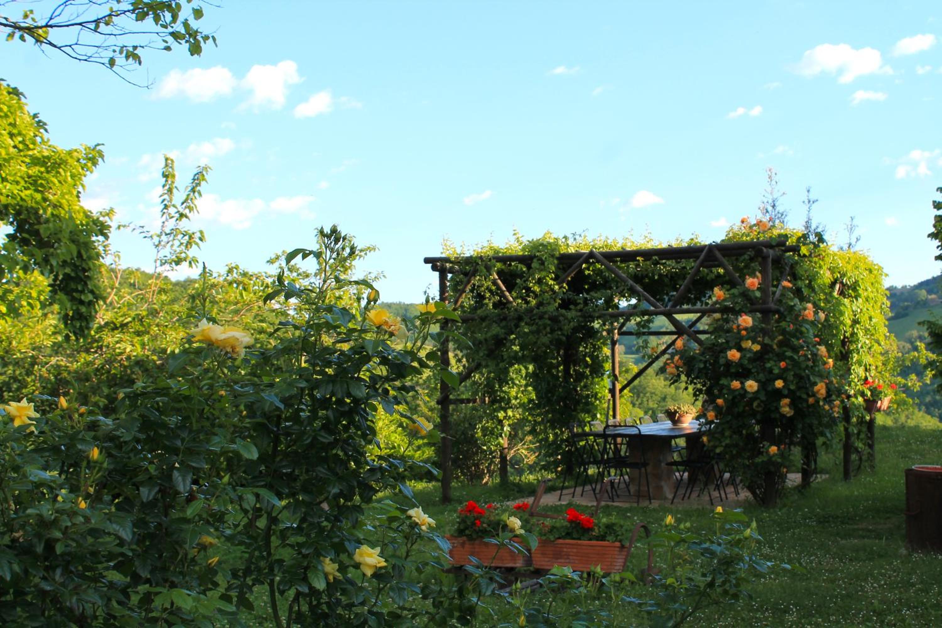 Photo 46