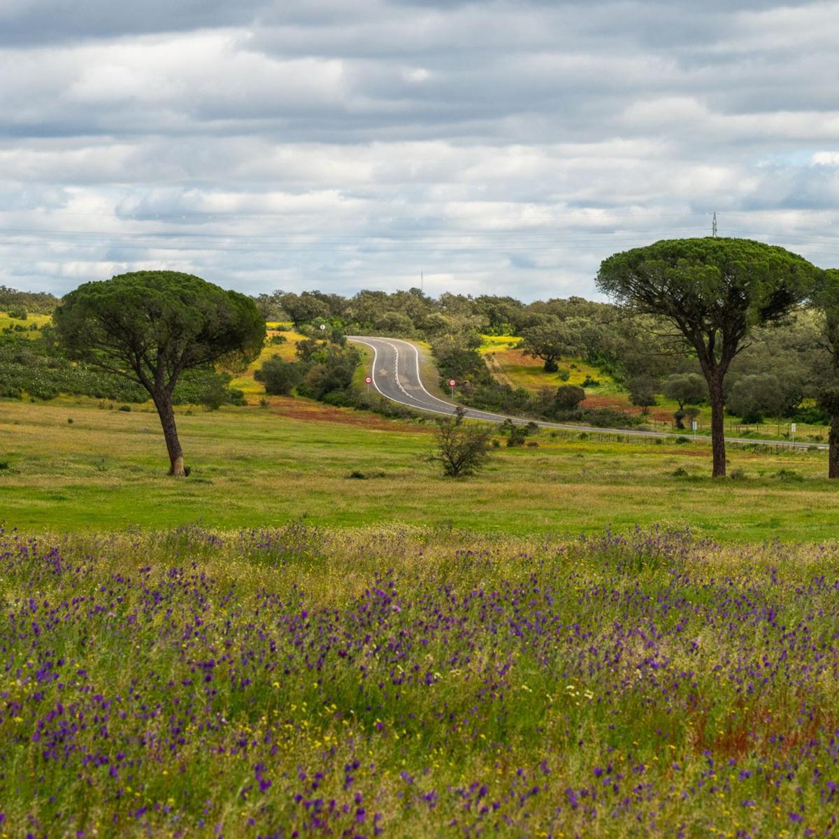 Apartamento para pareja, Finca Contrabando. Sanlucar del Guadiana