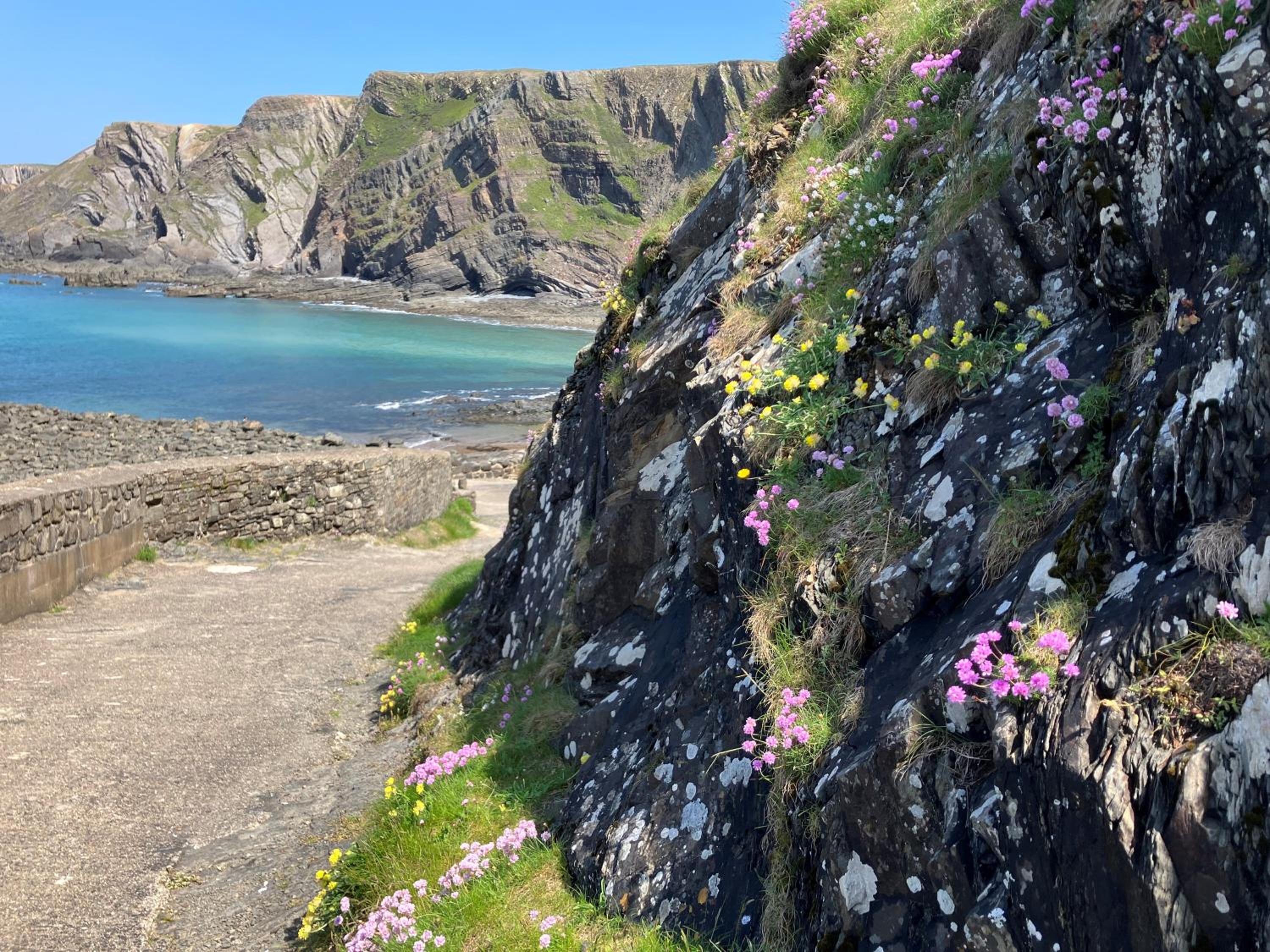 Hartland Quay Hotel 52