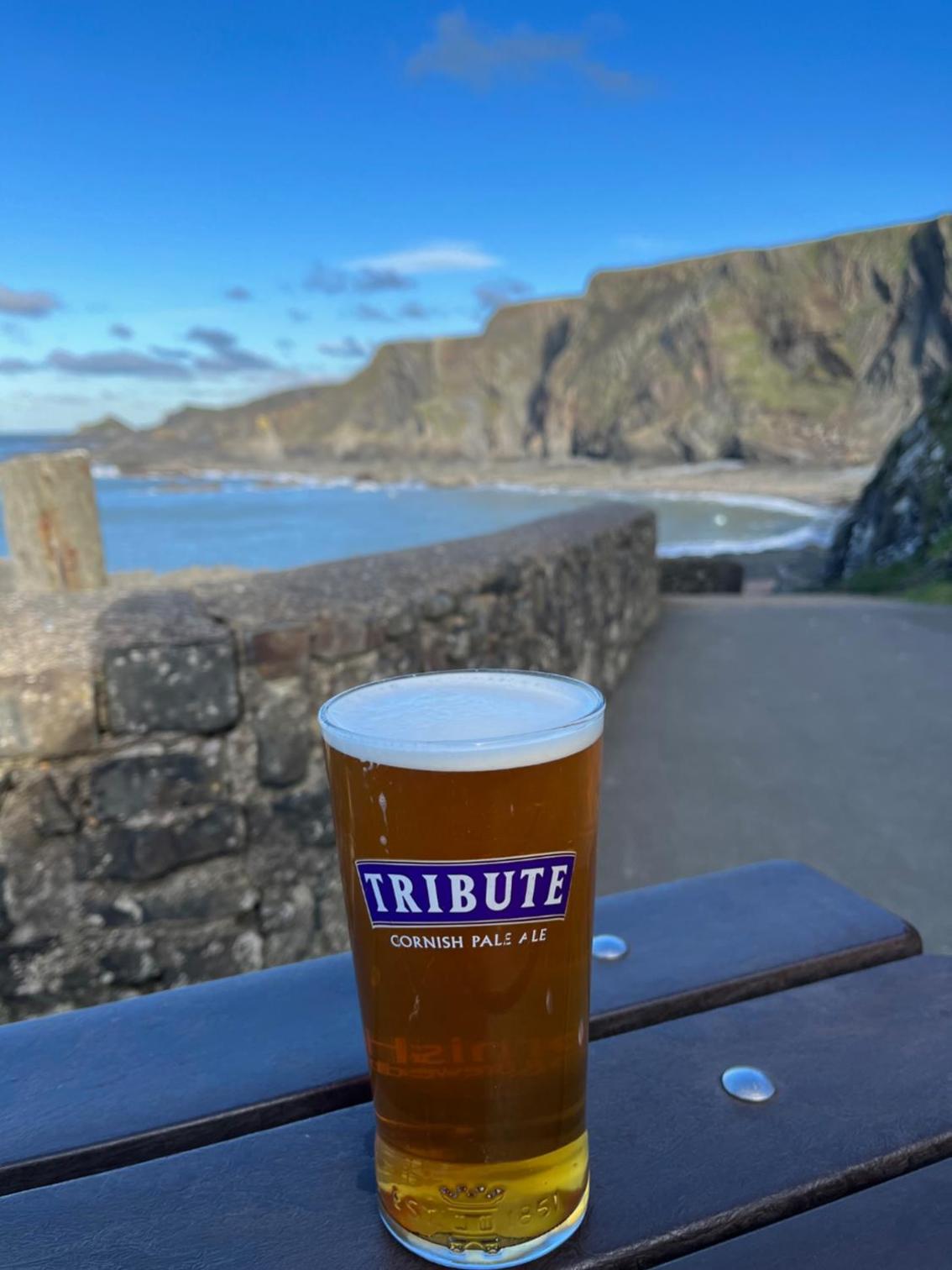 Hartland Quay Hotel 54