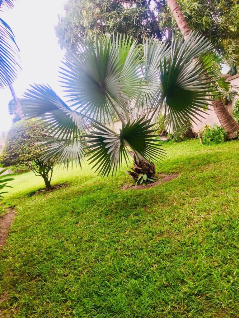 Nieta Chunu view 2