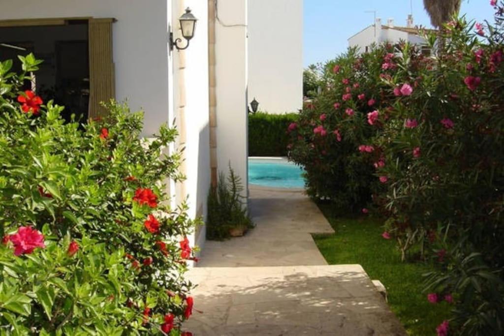Rotonda Apartaments
