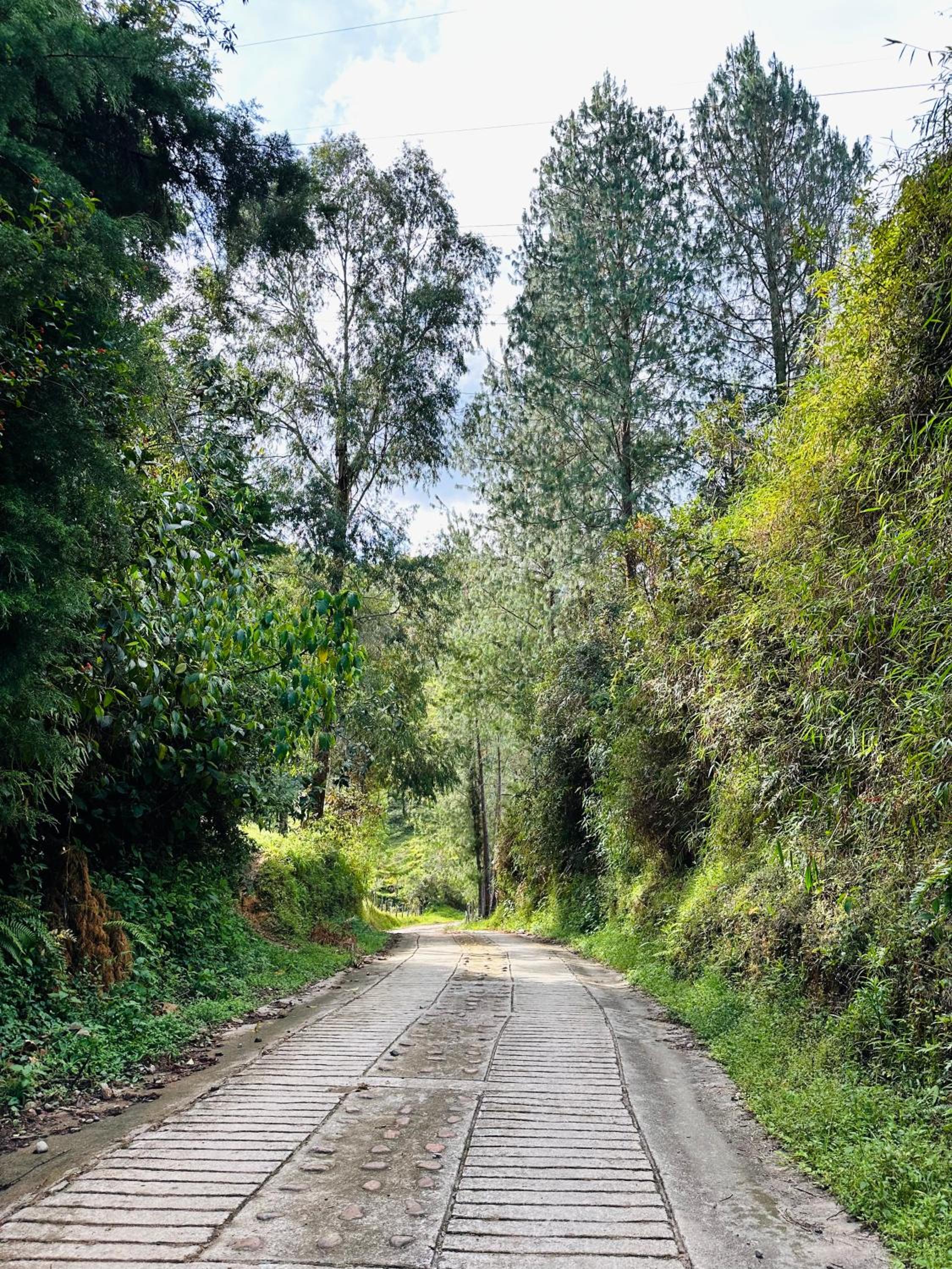 Glamping Samadhi - el Peñol