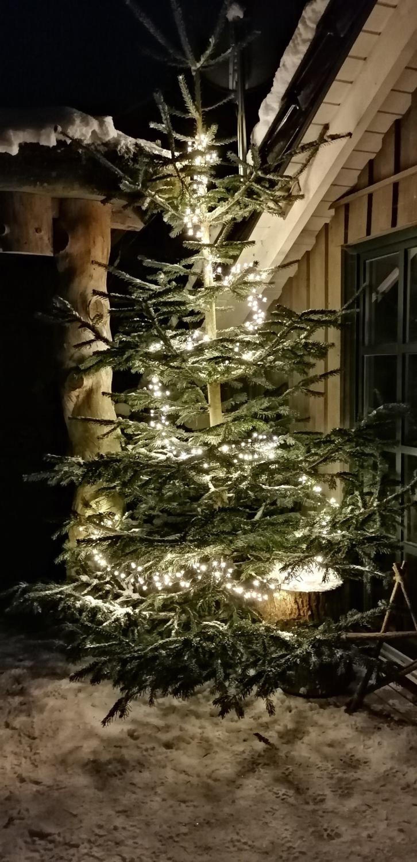 Haus Waldesruh