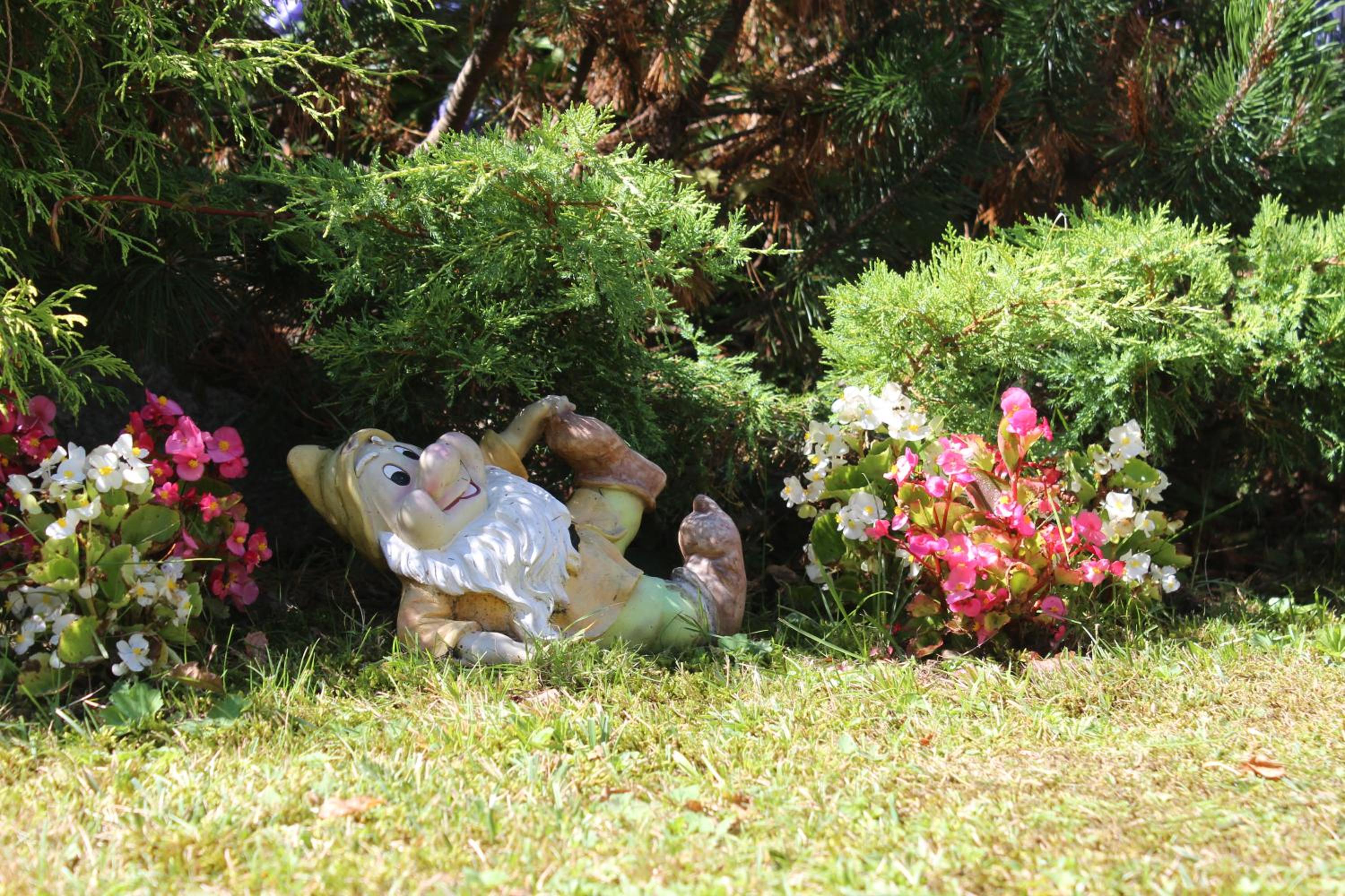 Photo 24