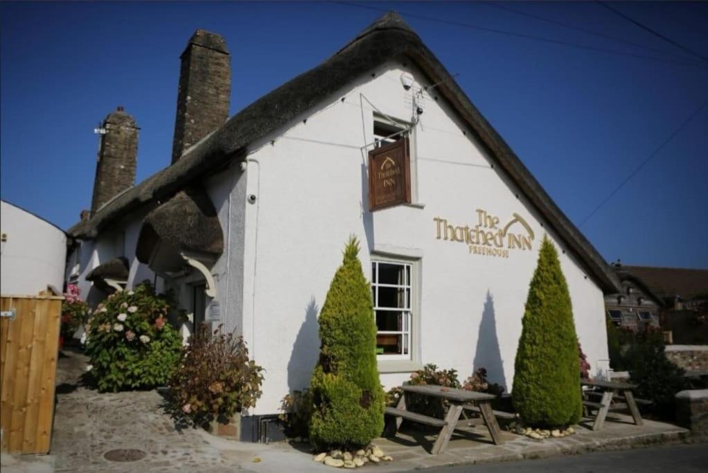 Cosy Cottage in a quaint village in North Devon.