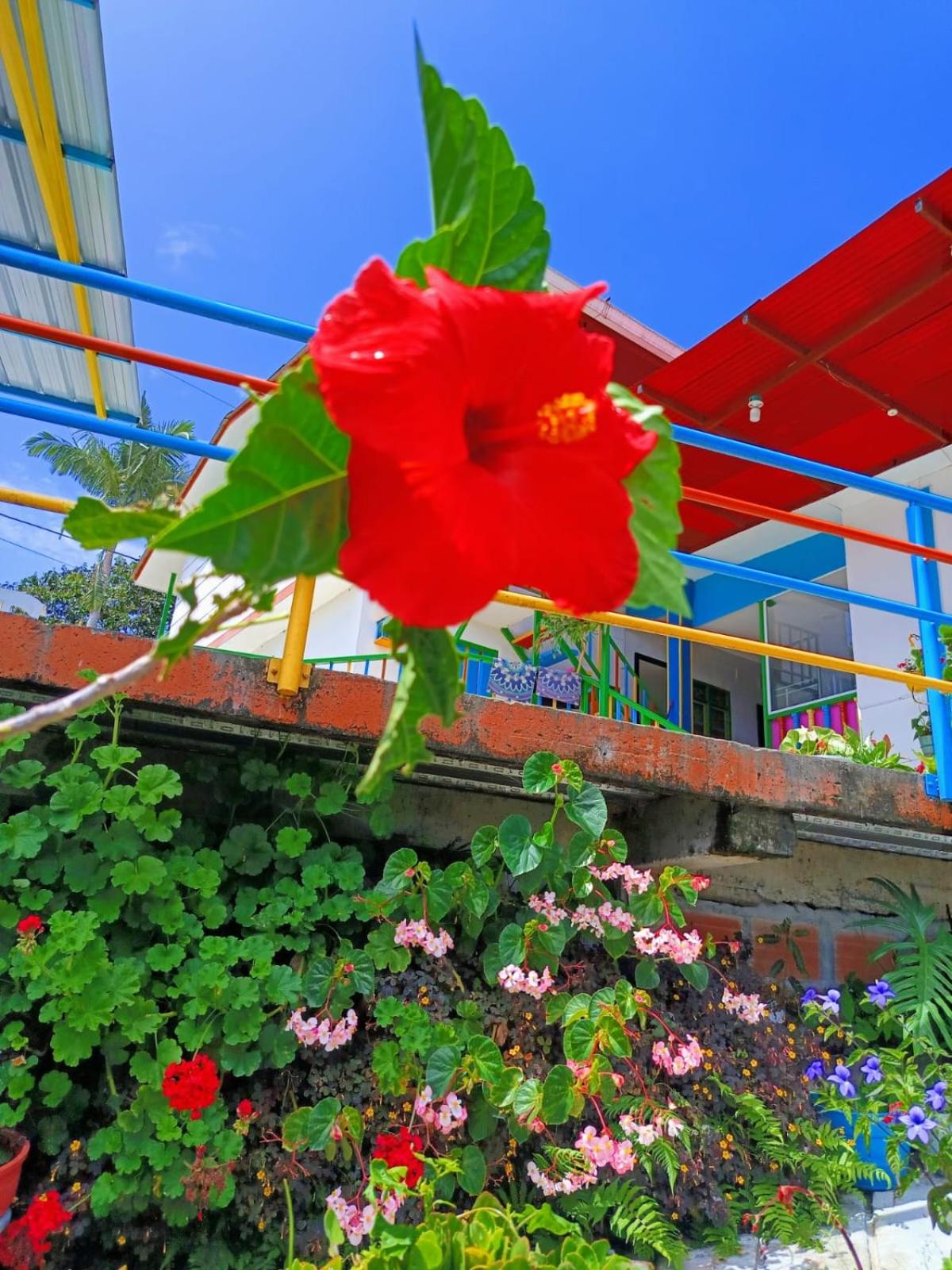 Hostal Rural El Eden Filandia