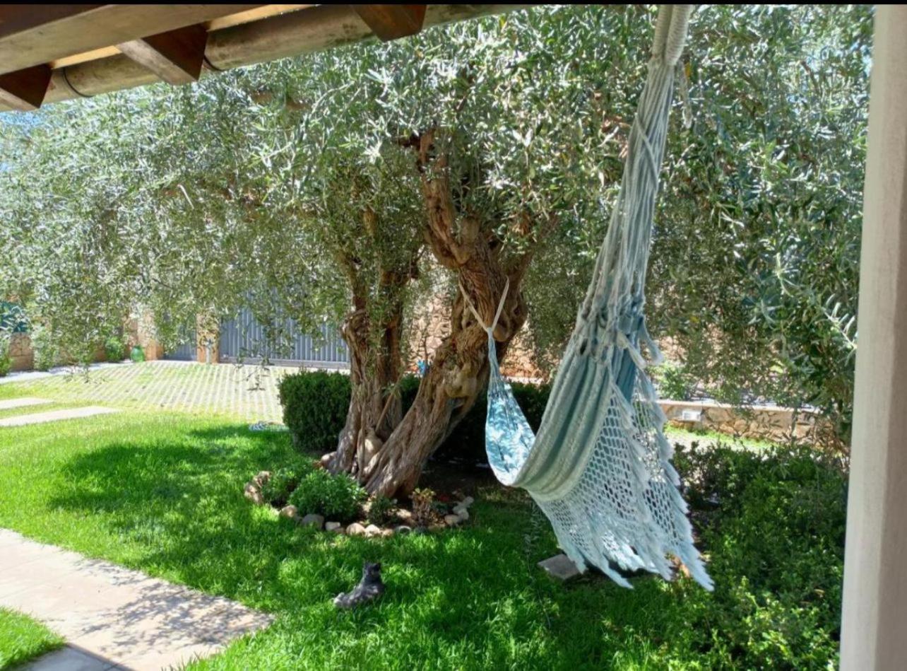 Casa Kapuk