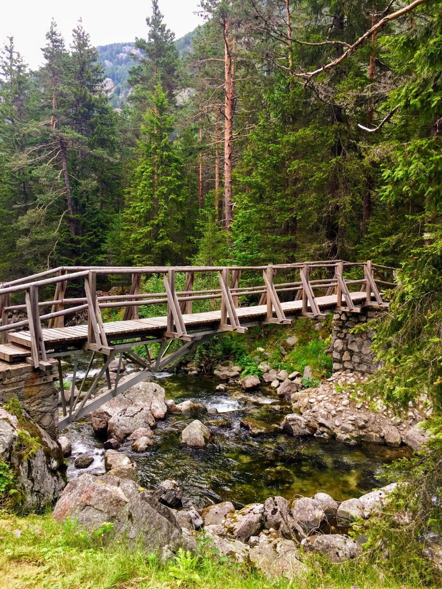 Cozy Guest House Niya , до Боровец , двор и барбекю