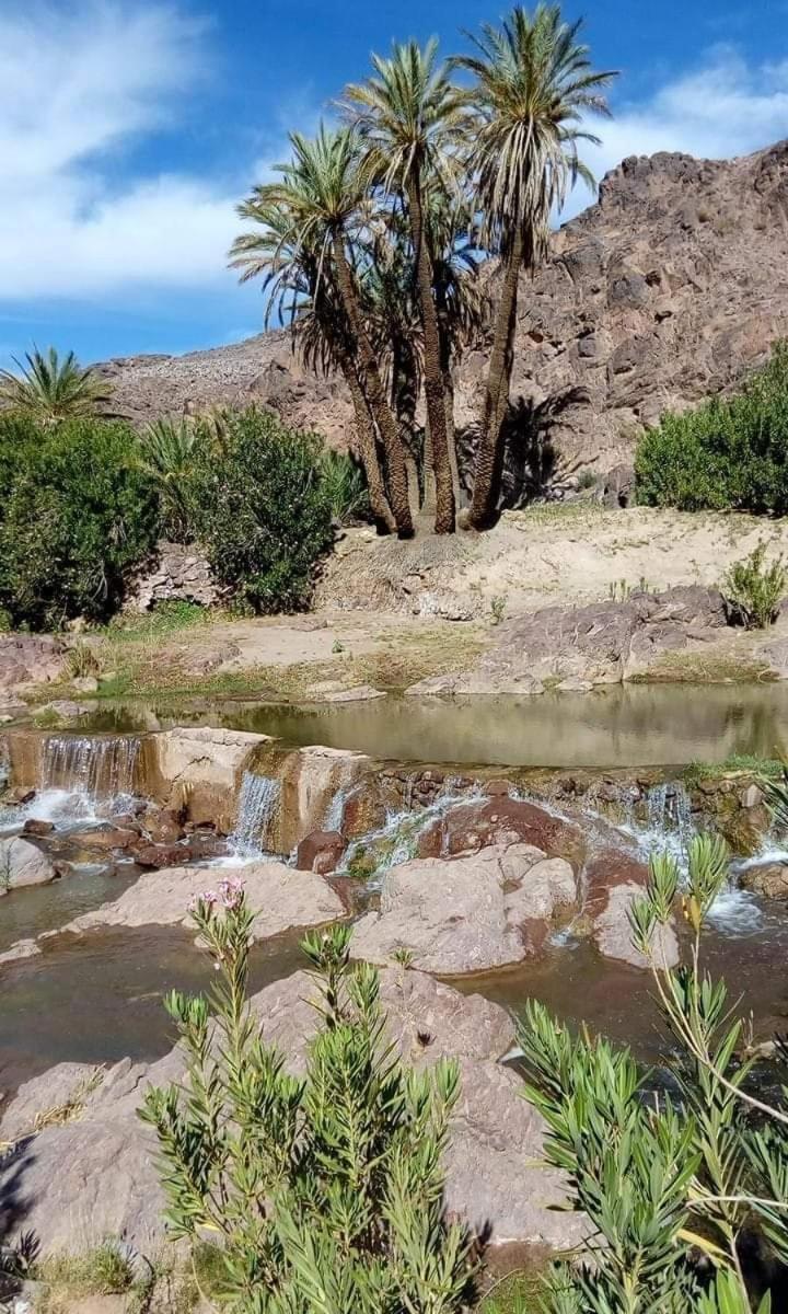Ouarzazate Vacations - ecolodge bivouac des aigles - Property Image 3