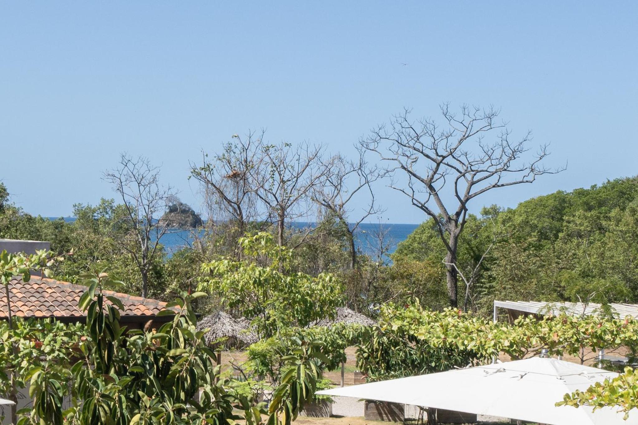 Plaza Mercado 12 - Beach, Oceanfront 2BR, 2BA Condo in Las Catalinas