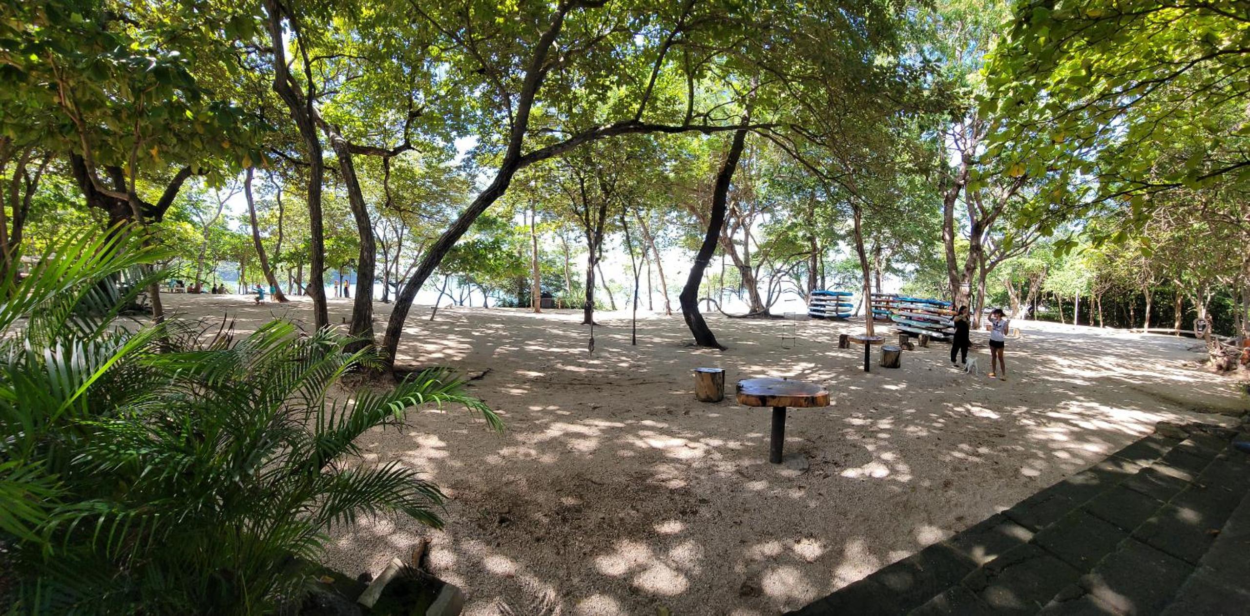 Plaza Mercado 12 - Beach, Oceanfront 2BR, 2BA Condo in Las Catalinas