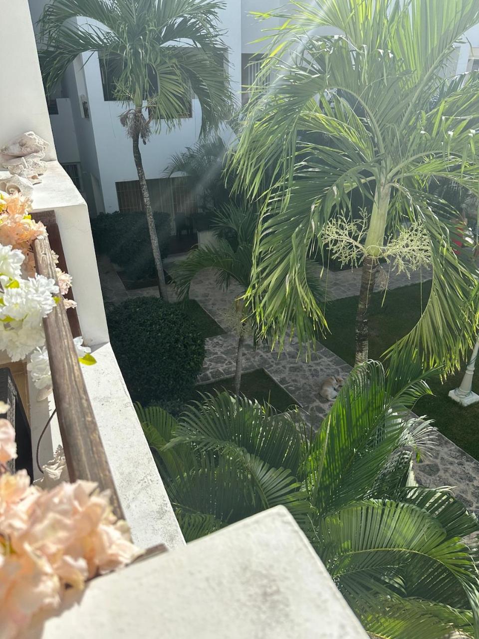 Splendido appartamento a Bayahibe