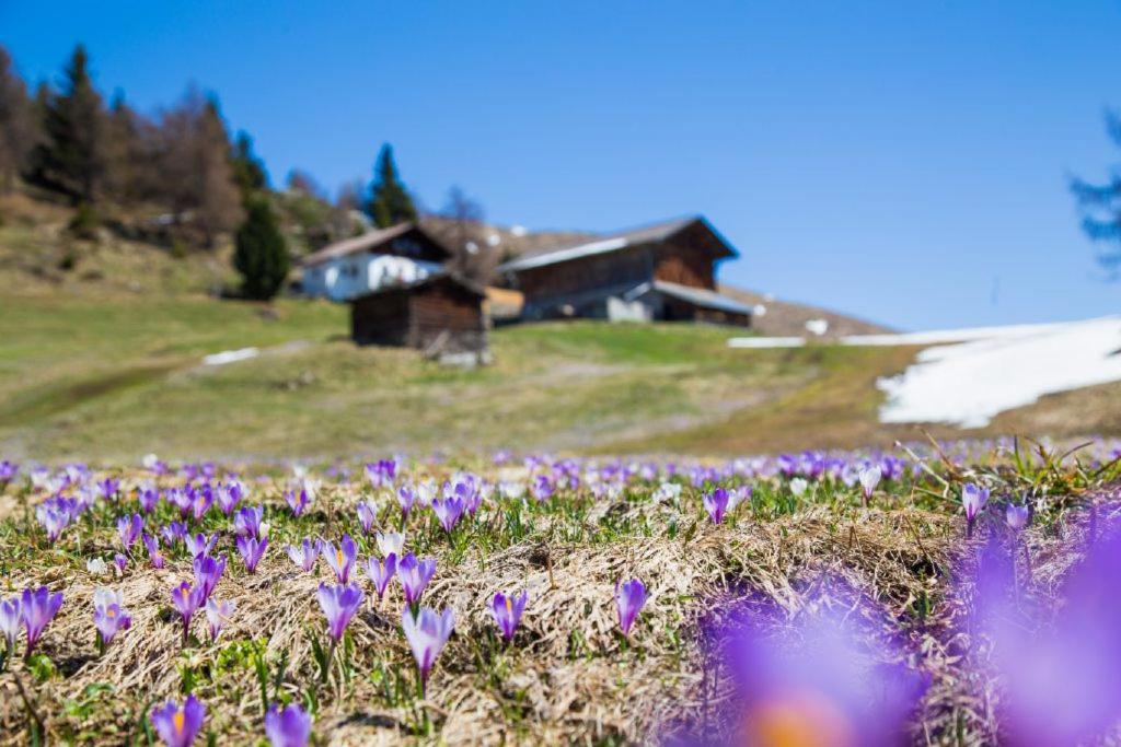 Ferienhaus/Chalet in der Blaiche view 5