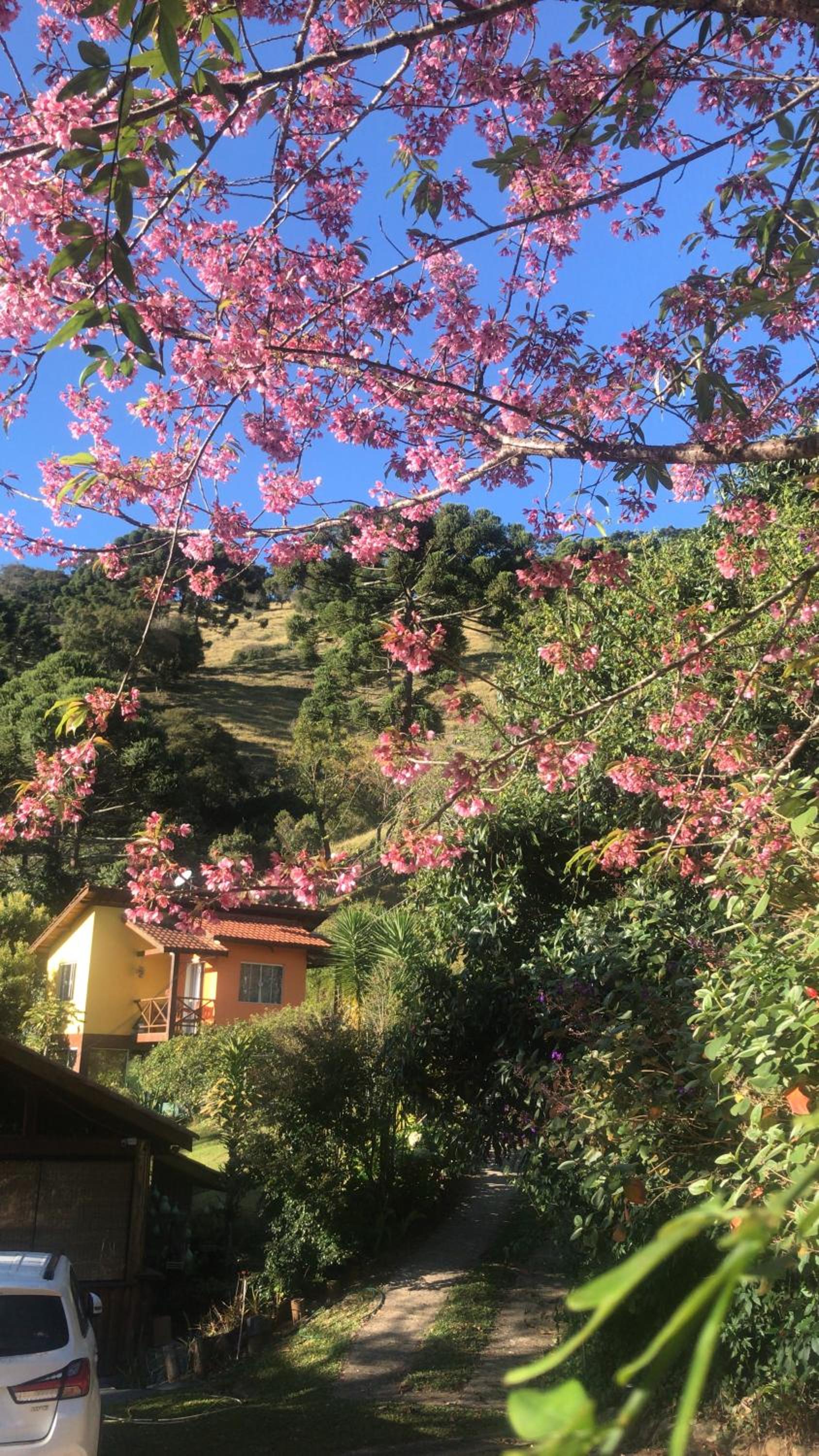 Chalés Lá na Roça