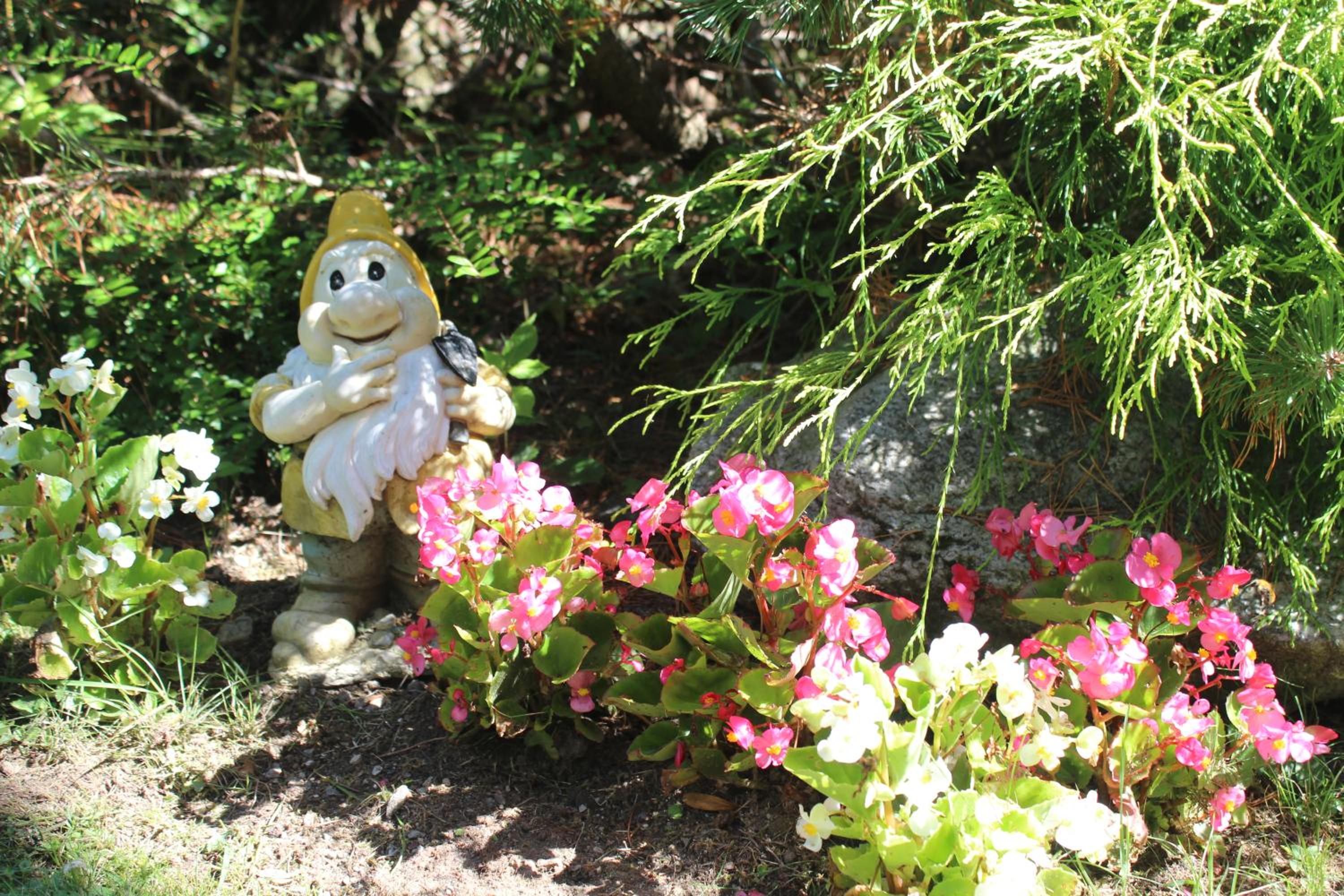 Photo 46