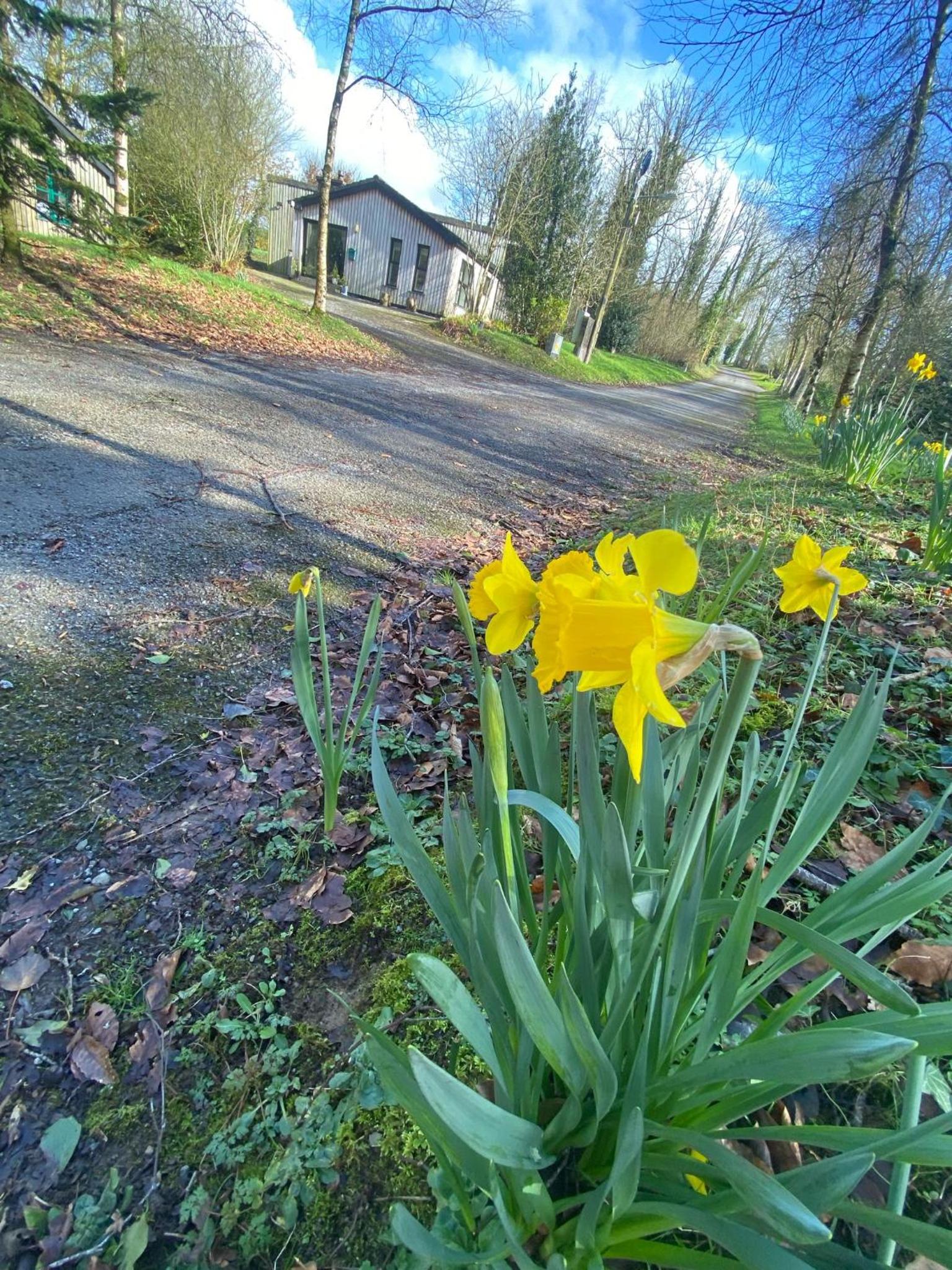 Photo 21