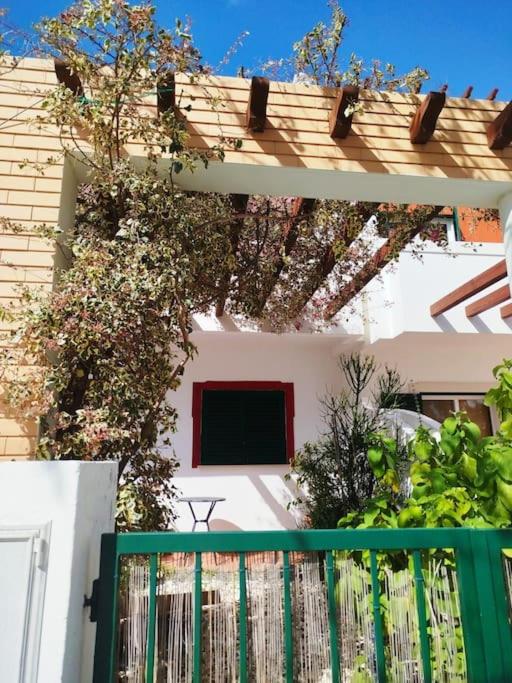 The South Sunny House - A Casa a Sul view 4