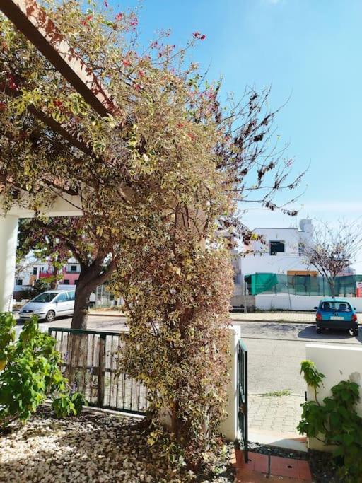 The South Sunny House - A Casa a Sul view 3