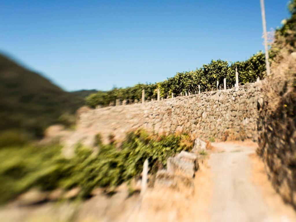 Aldea Rural Pazos De Arenteiro