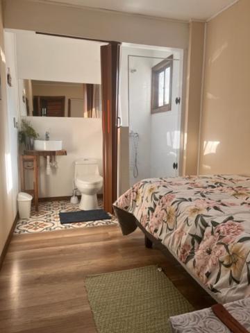 Hostal Damatierra Guesthouse