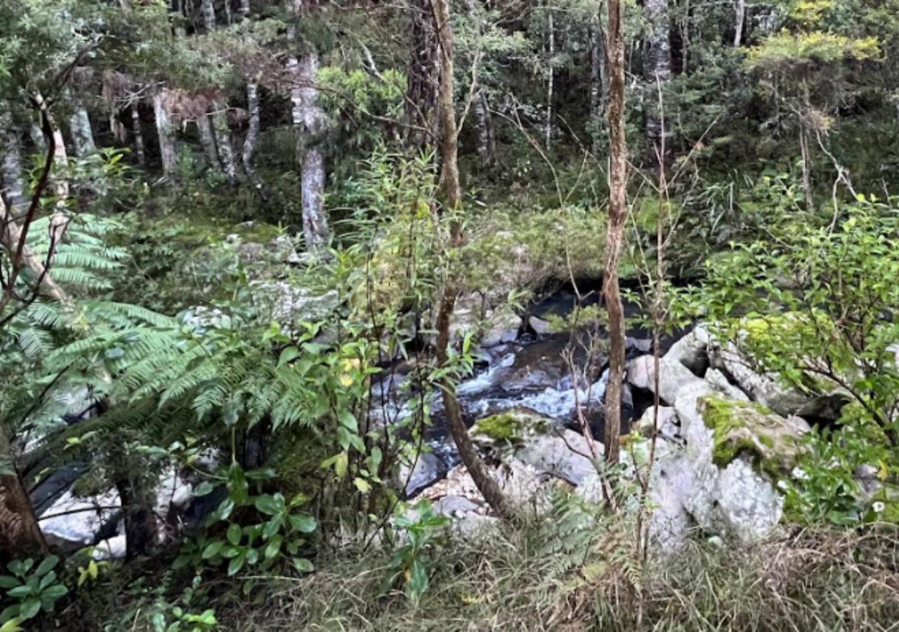 Mākoha PurePod