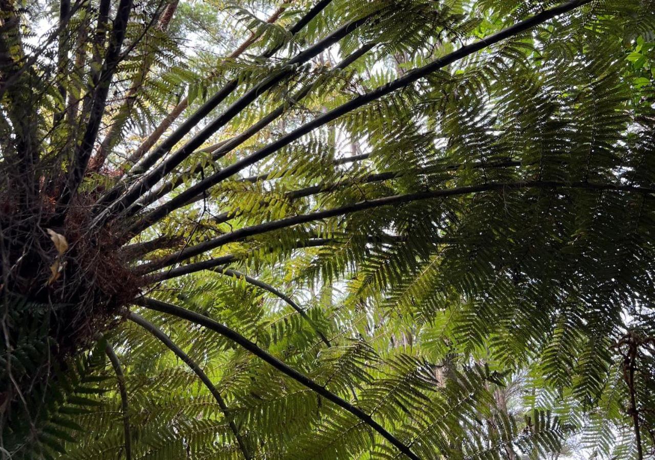 Mākoha PurePod