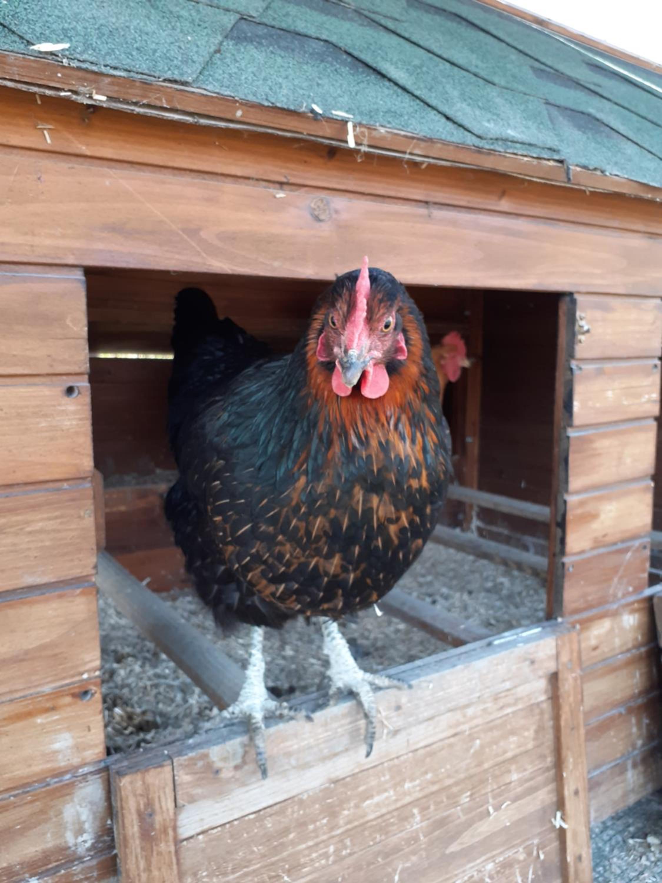 Cà Gennara Agri B&B