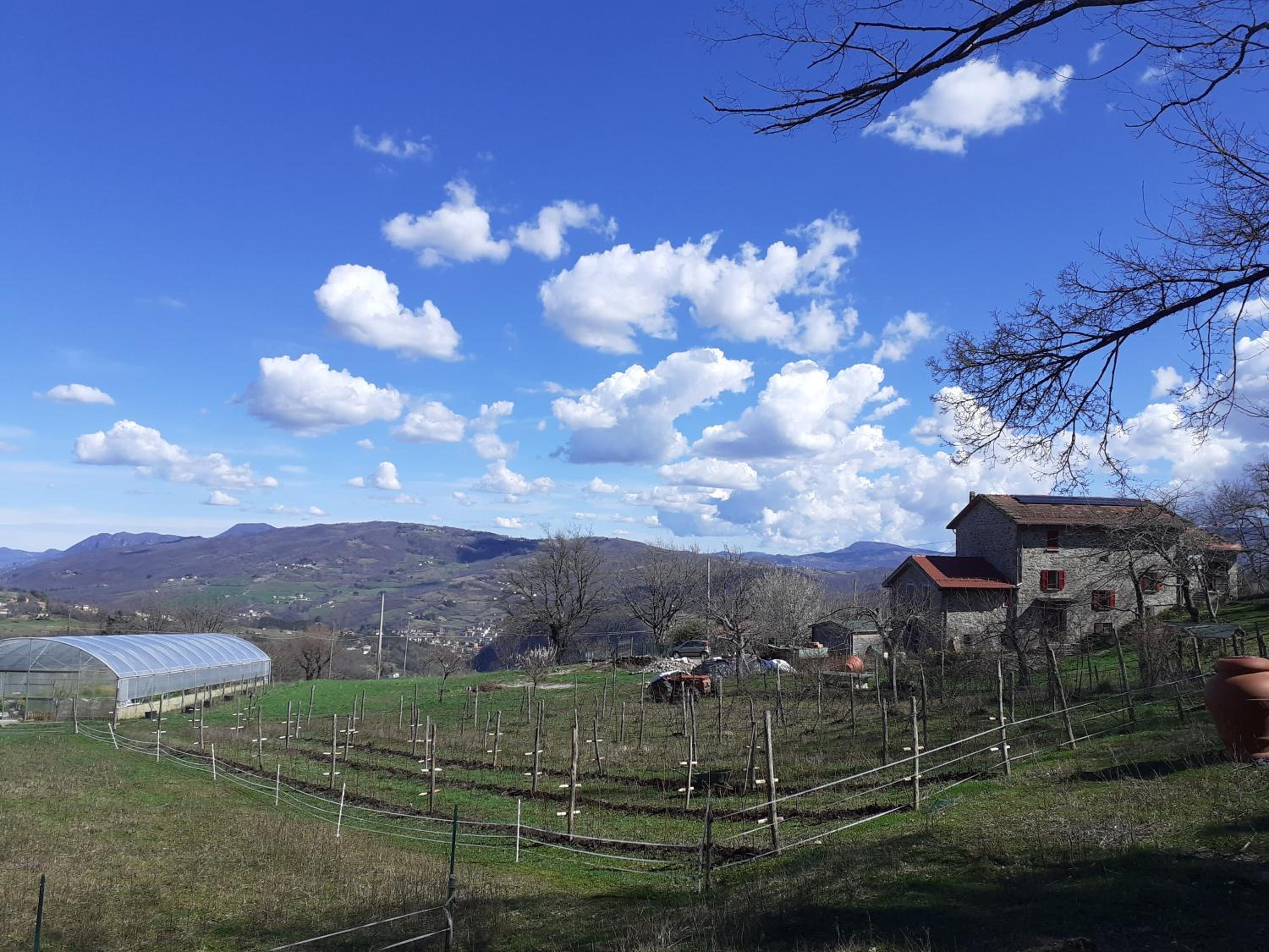 Cà Gennara Agri B&B