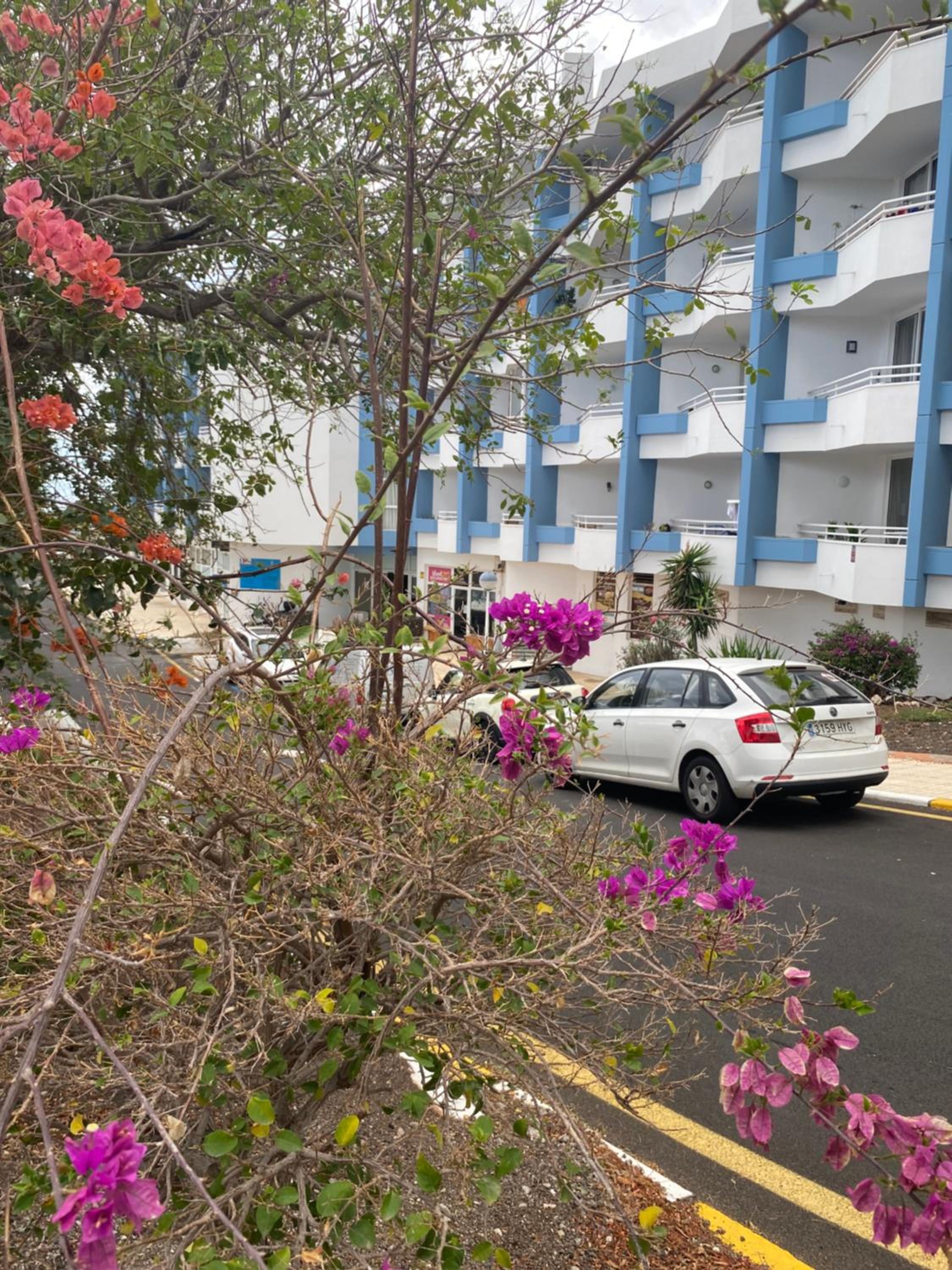Sissy Tenerife Apartman