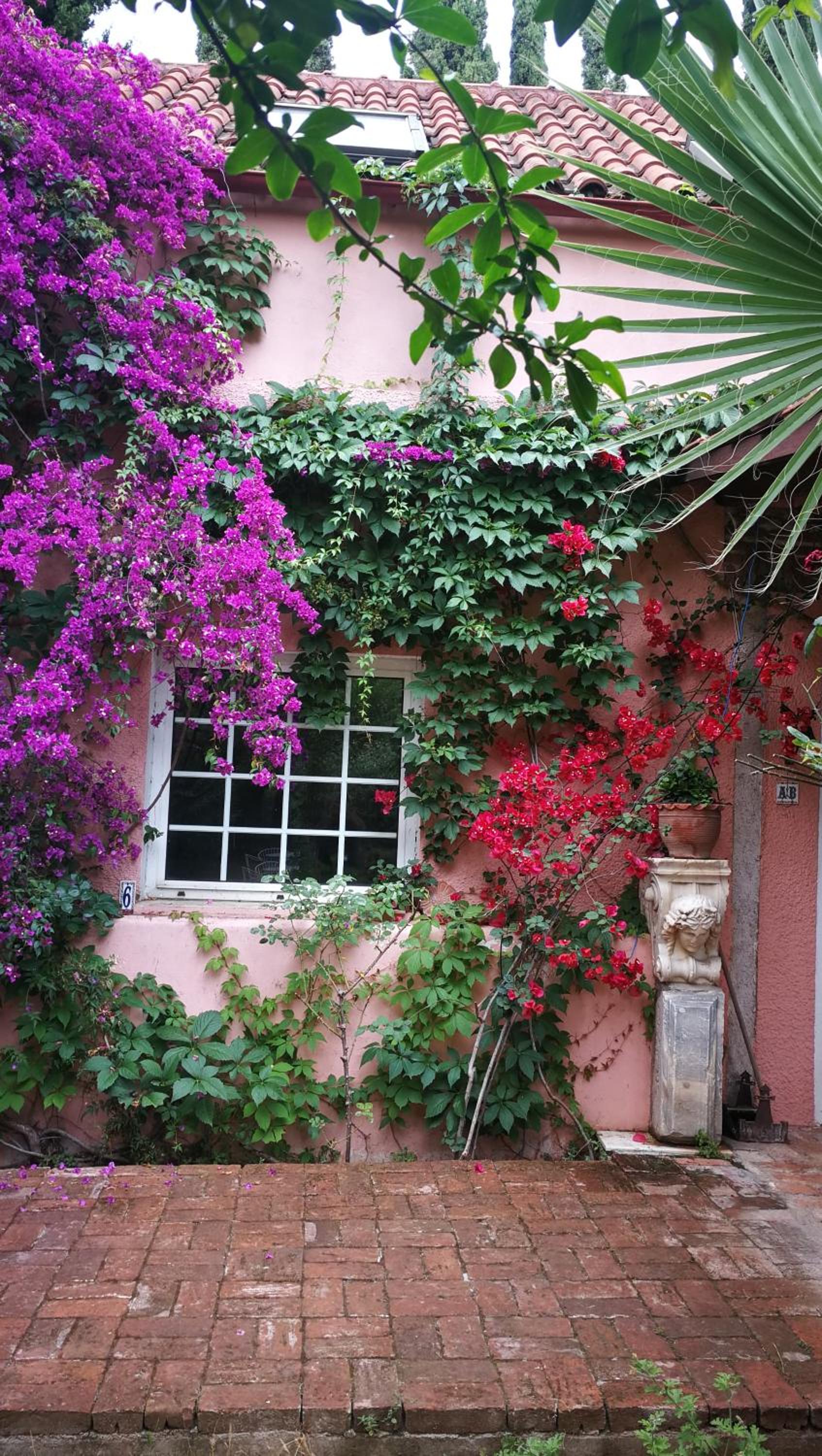 Villa with a big garden