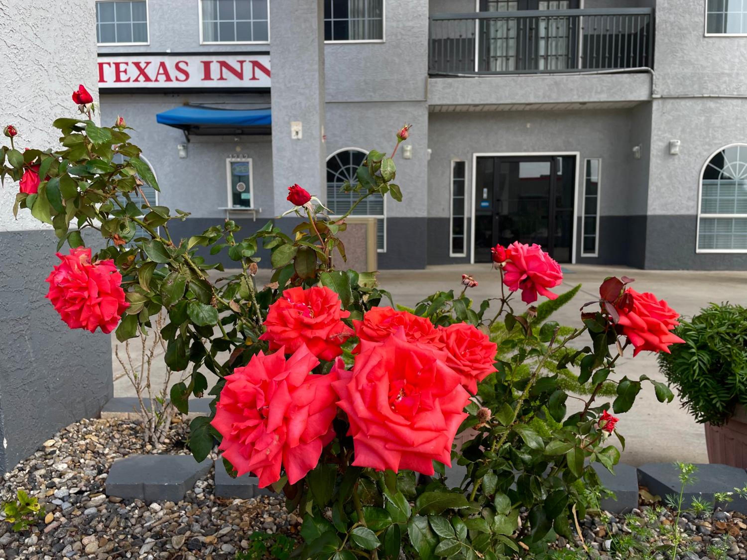 Texas Inn La Feria view 3