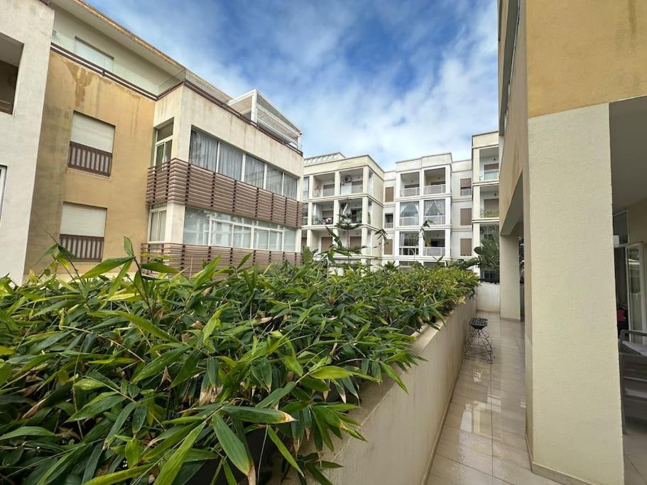Appartement MIRABELLE