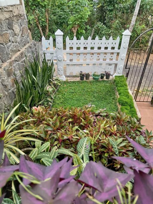 Natural Cottage Galle